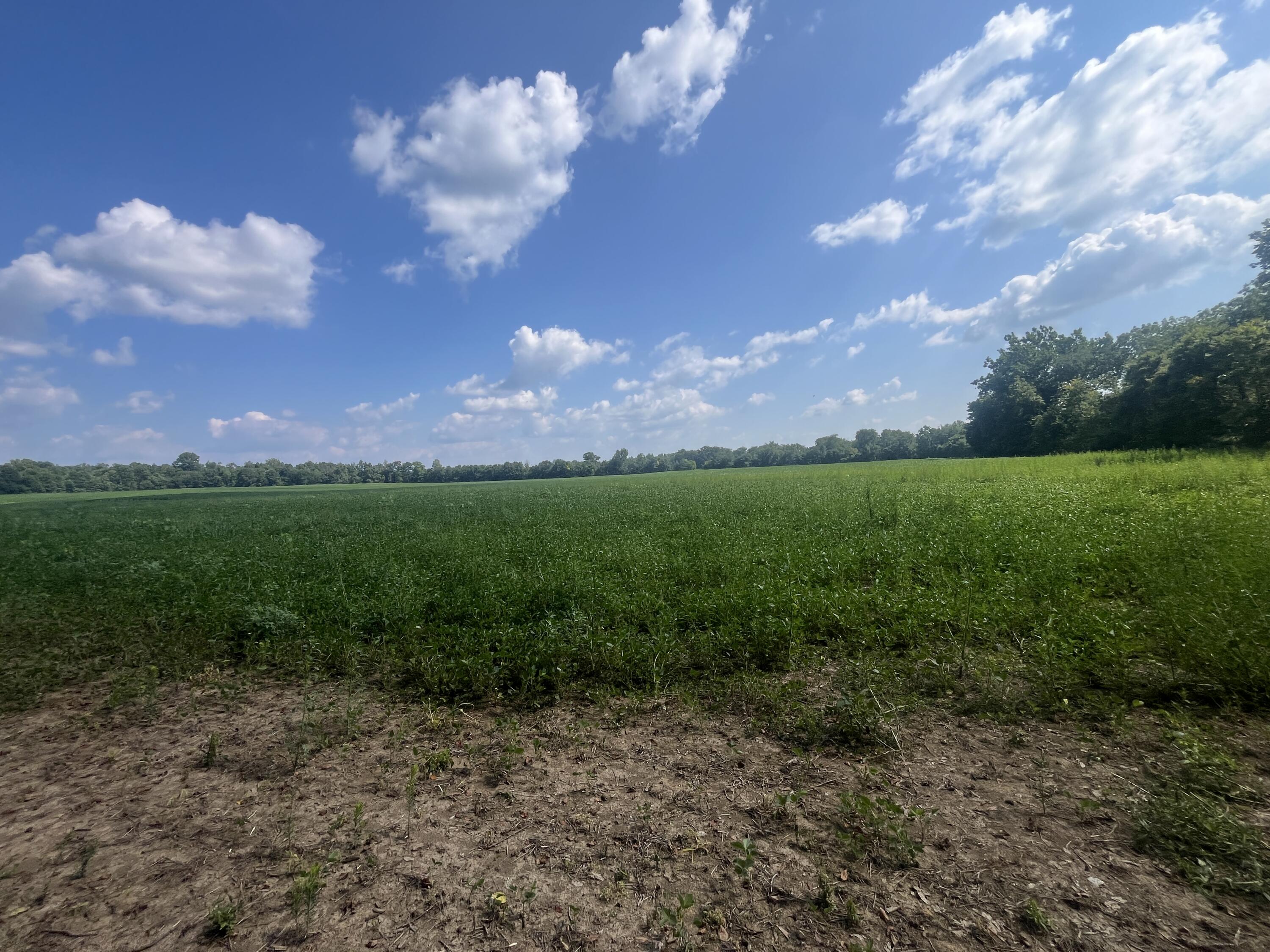 0 Raymond, Marysville, Ohio 43040
