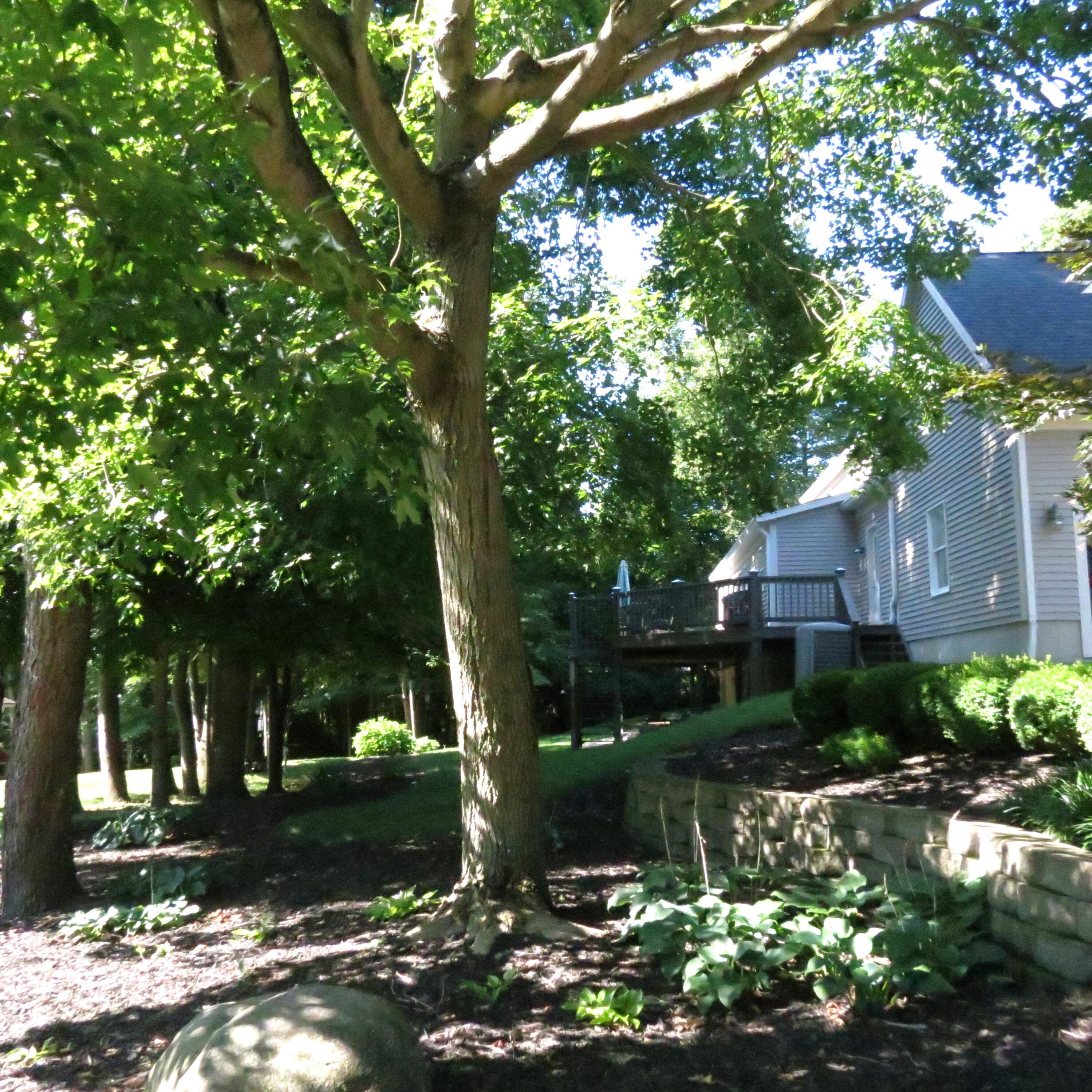 1033 Parkwood, Sidney, Ohio 45365