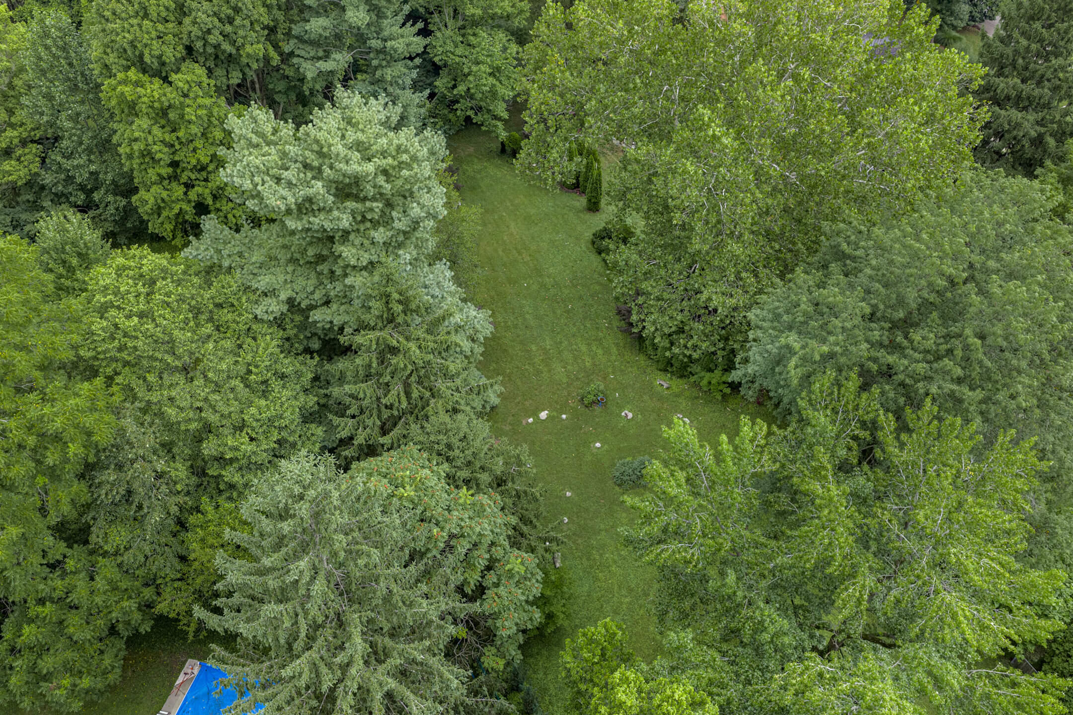 445 South College, Yellow Springs, Ohio 45387