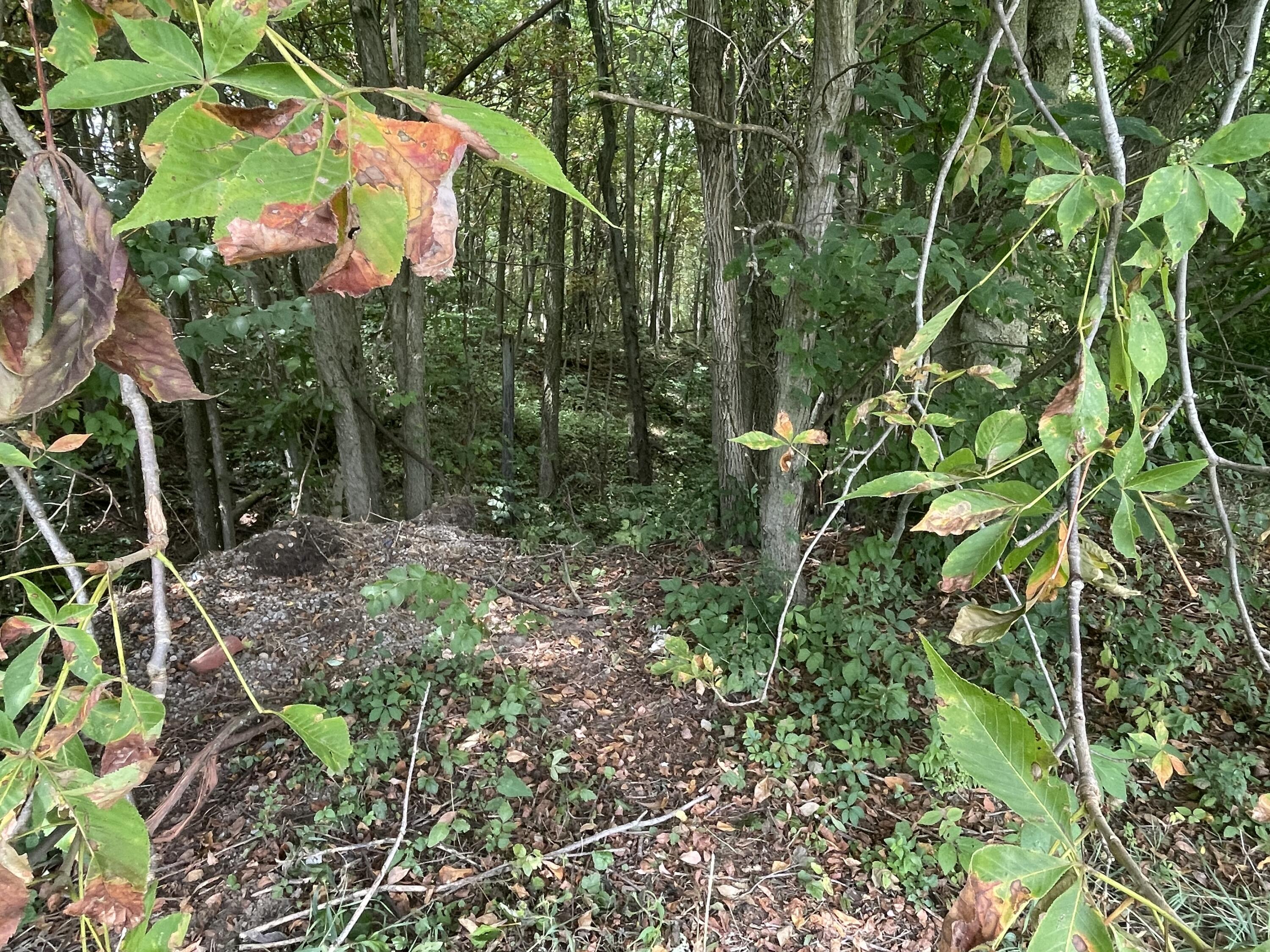 16861 Township Road 39, Belle Center, Ohio 43310