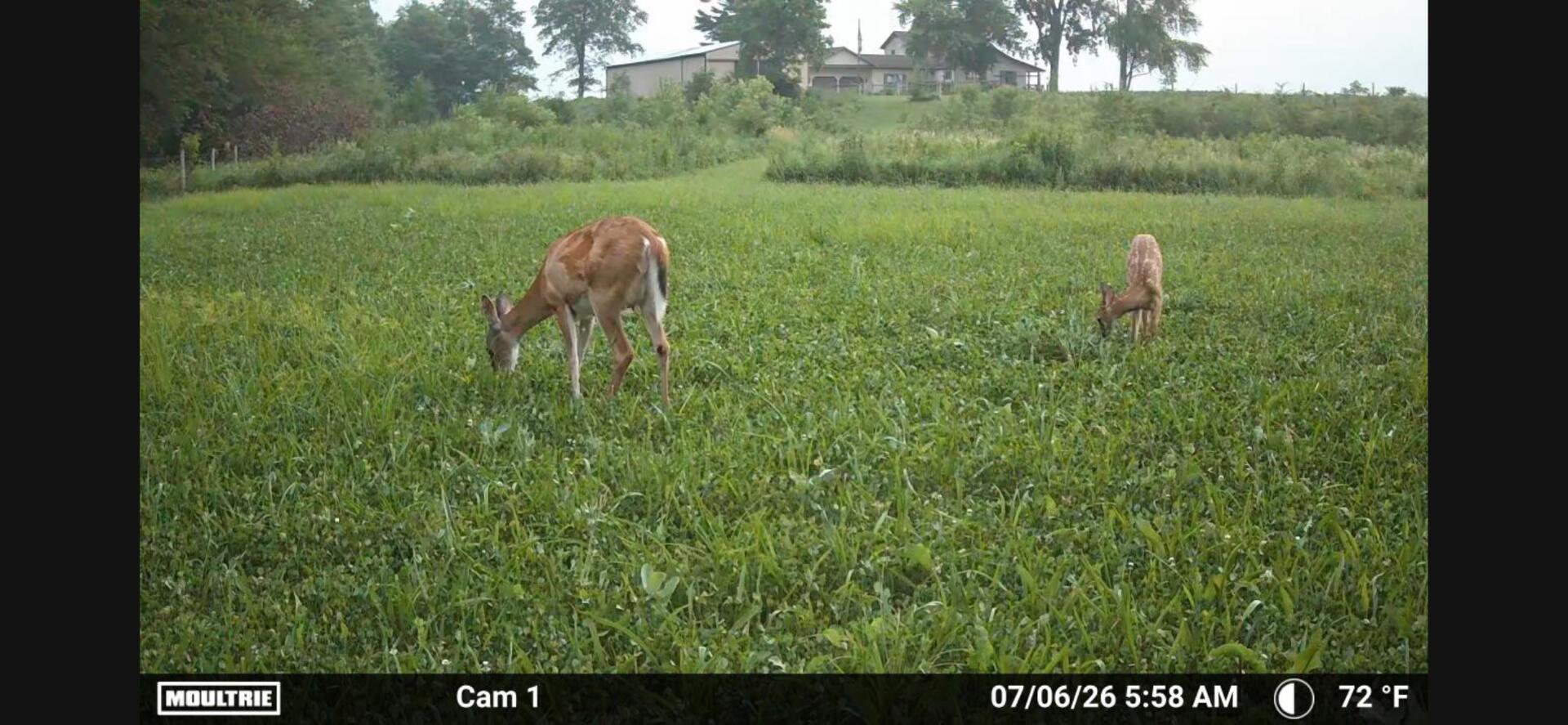 10239 Krugh, Mendon, Ohio 45862