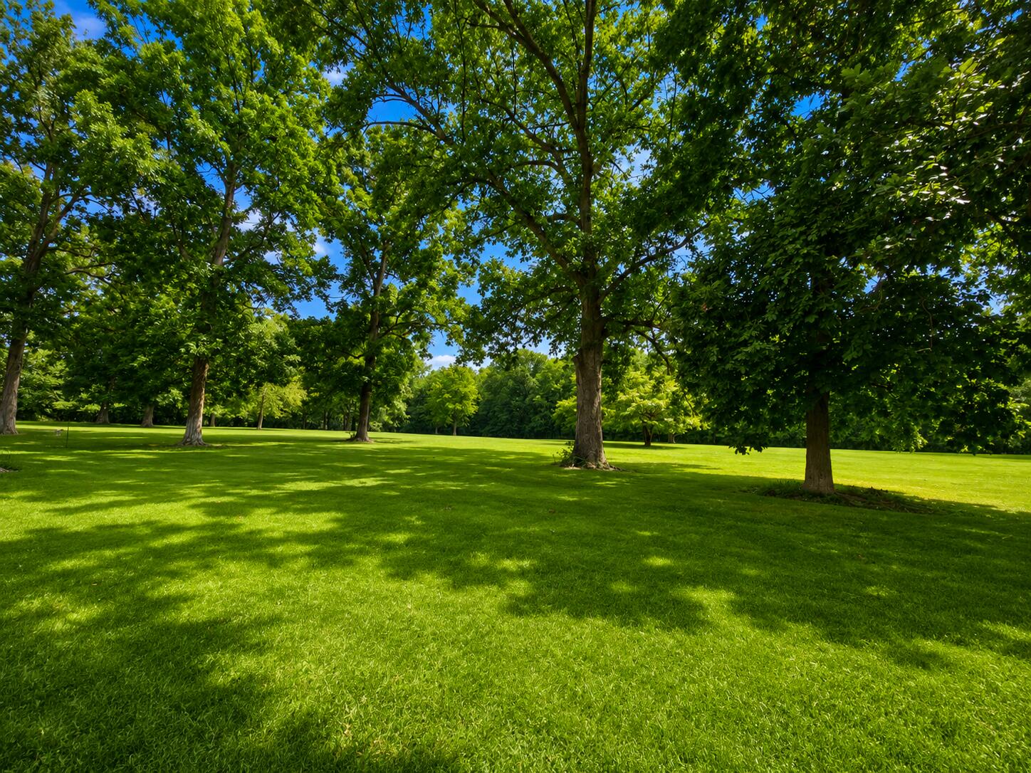 216 Oakcrest, Russells Point, Ohio 43348