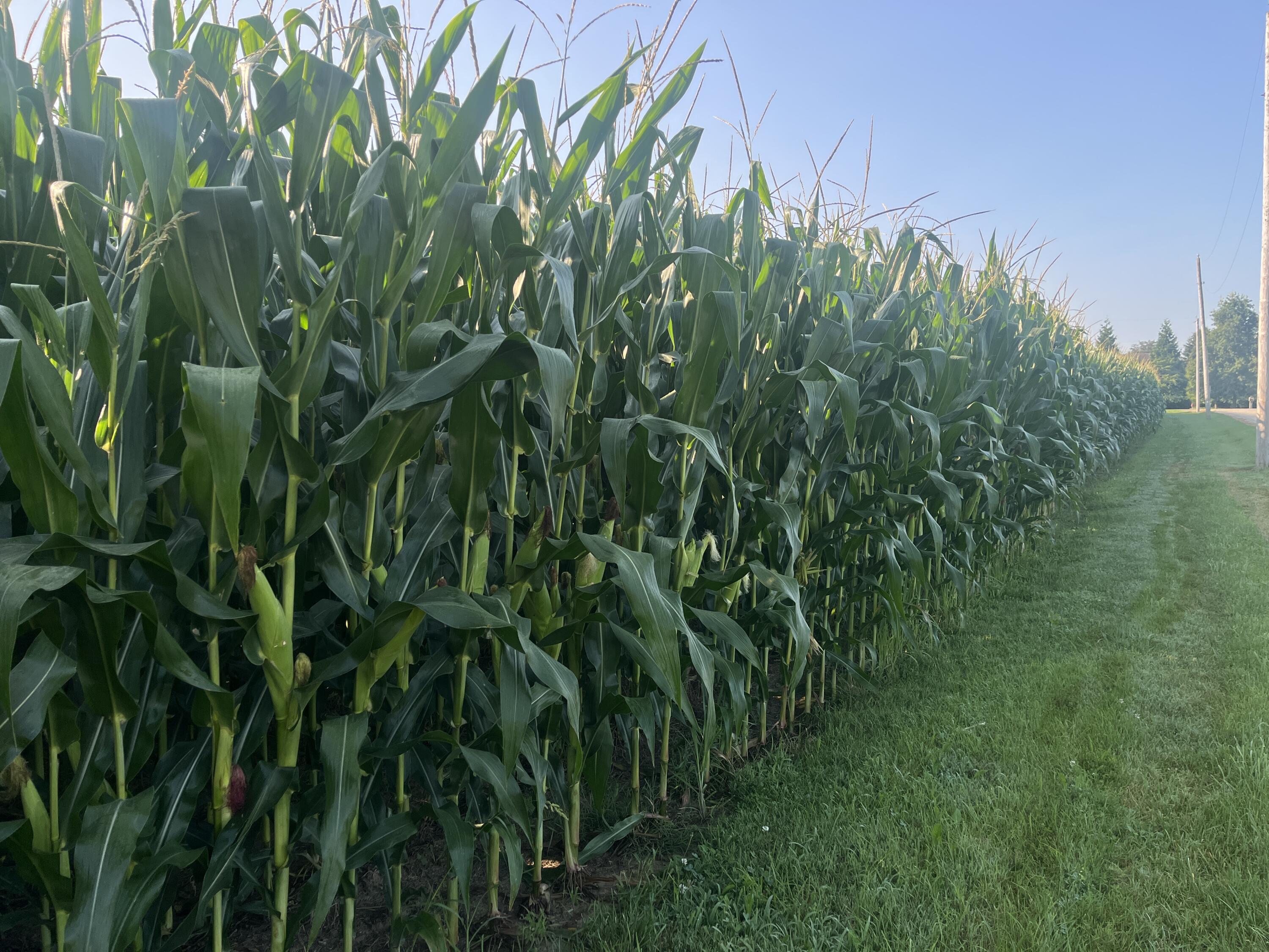0 Rusk, Troy, Ohio 45373
