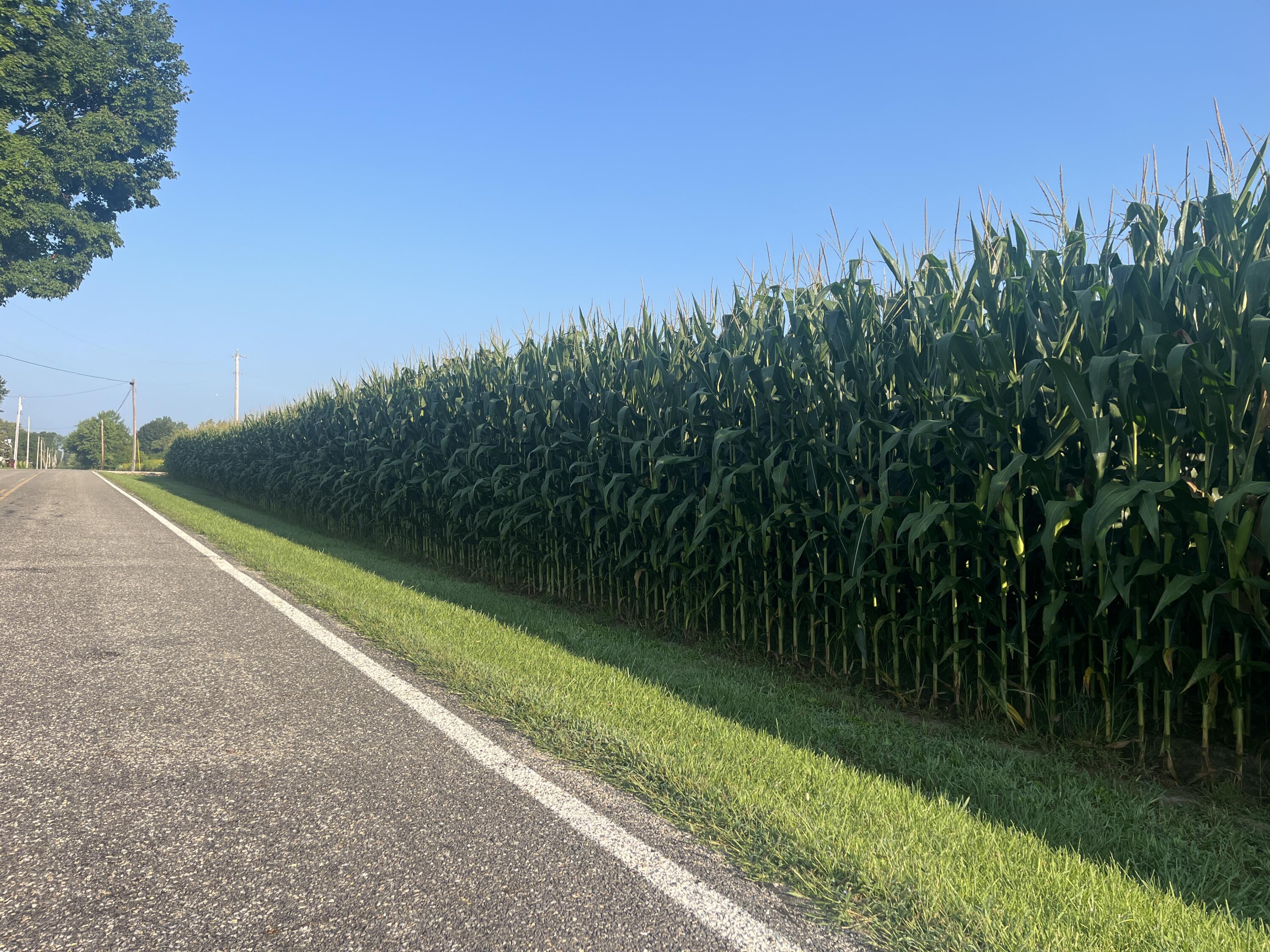 0 Rusk, Troy, Ohio 45373