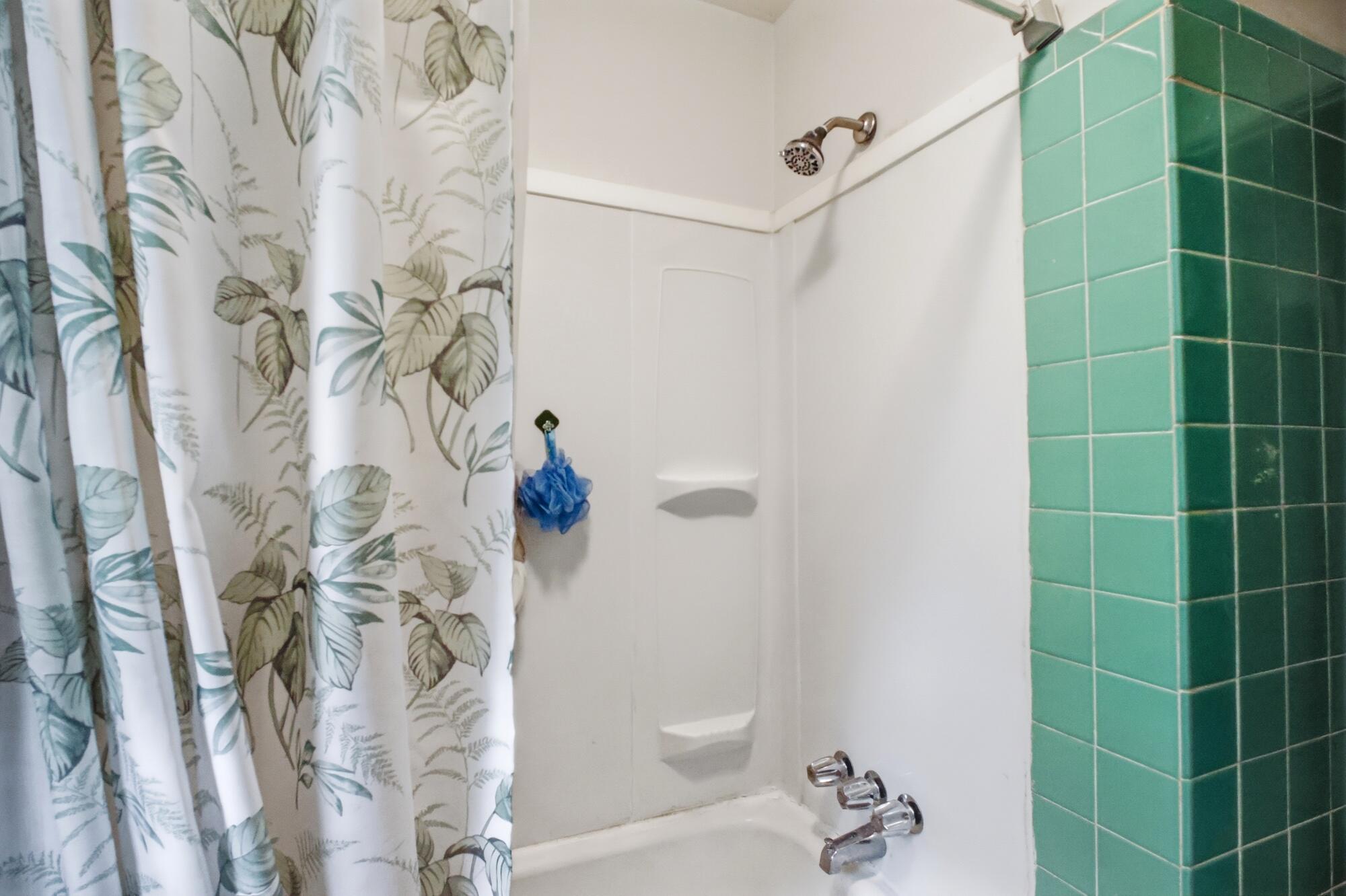 308 Birch, Springfield, Ohio 45503