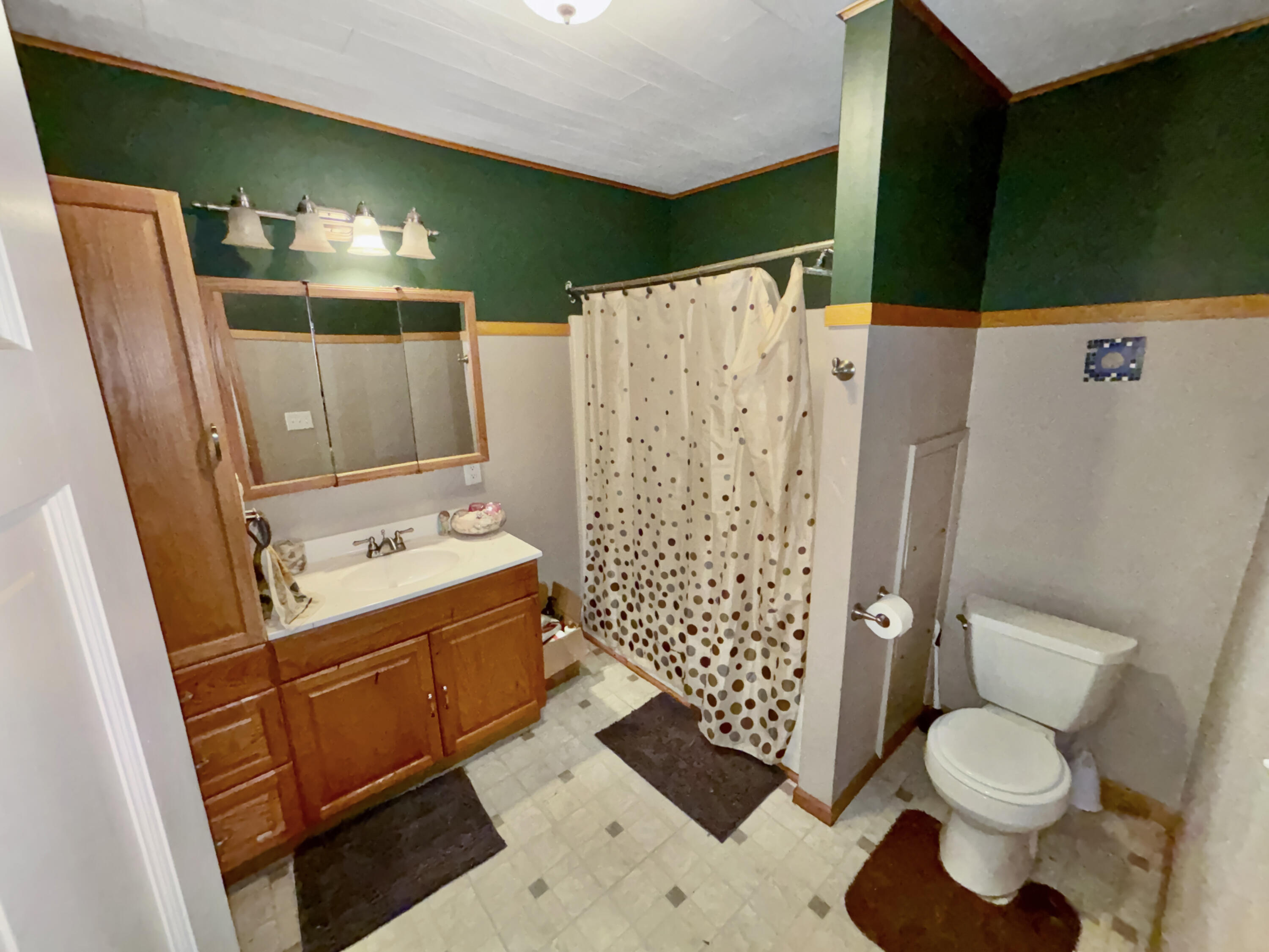 407 1st, Arcanum, Ohio 45304