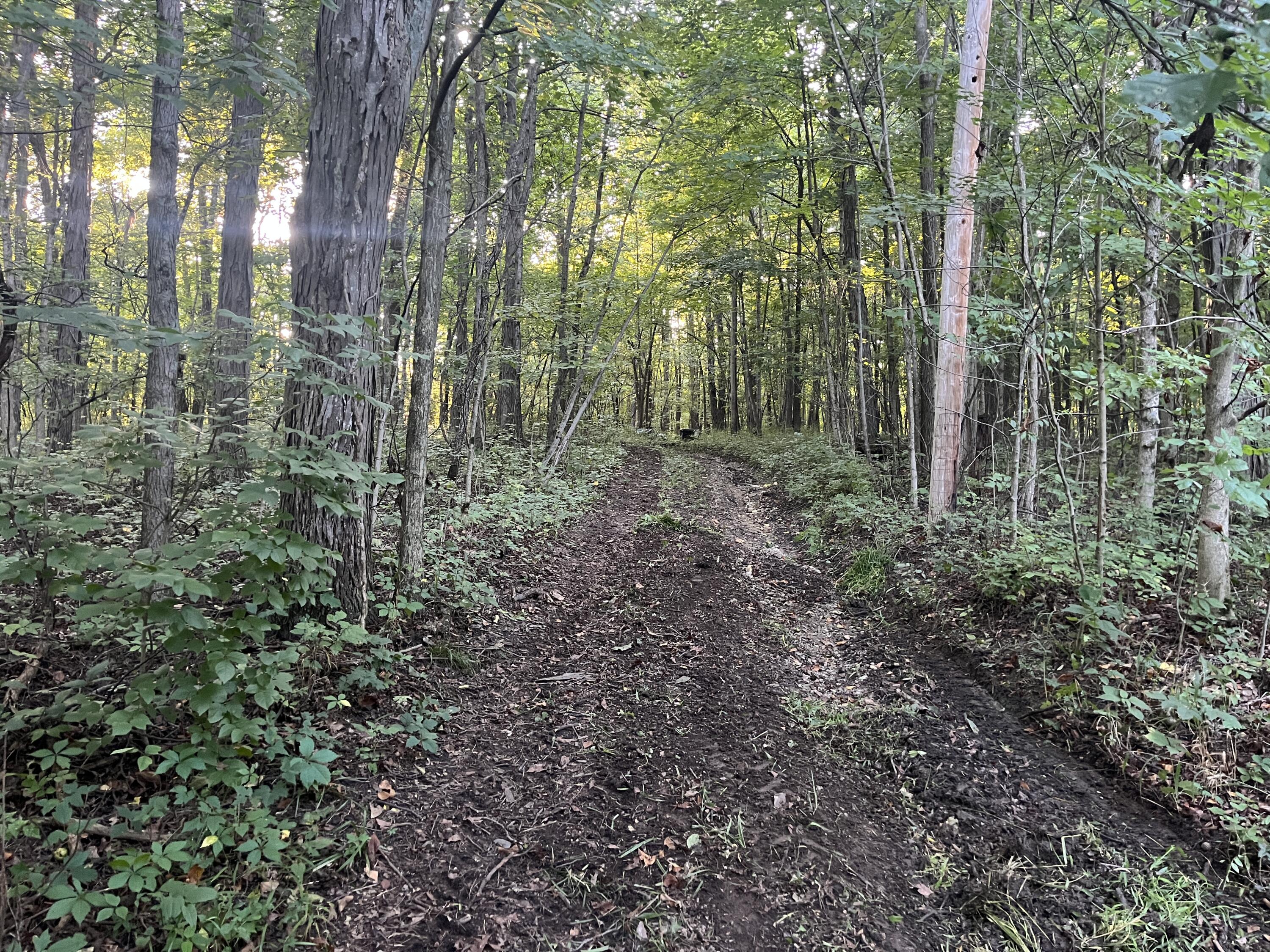 6575 Township Road 137, Rushsylvania, Ohio 43347