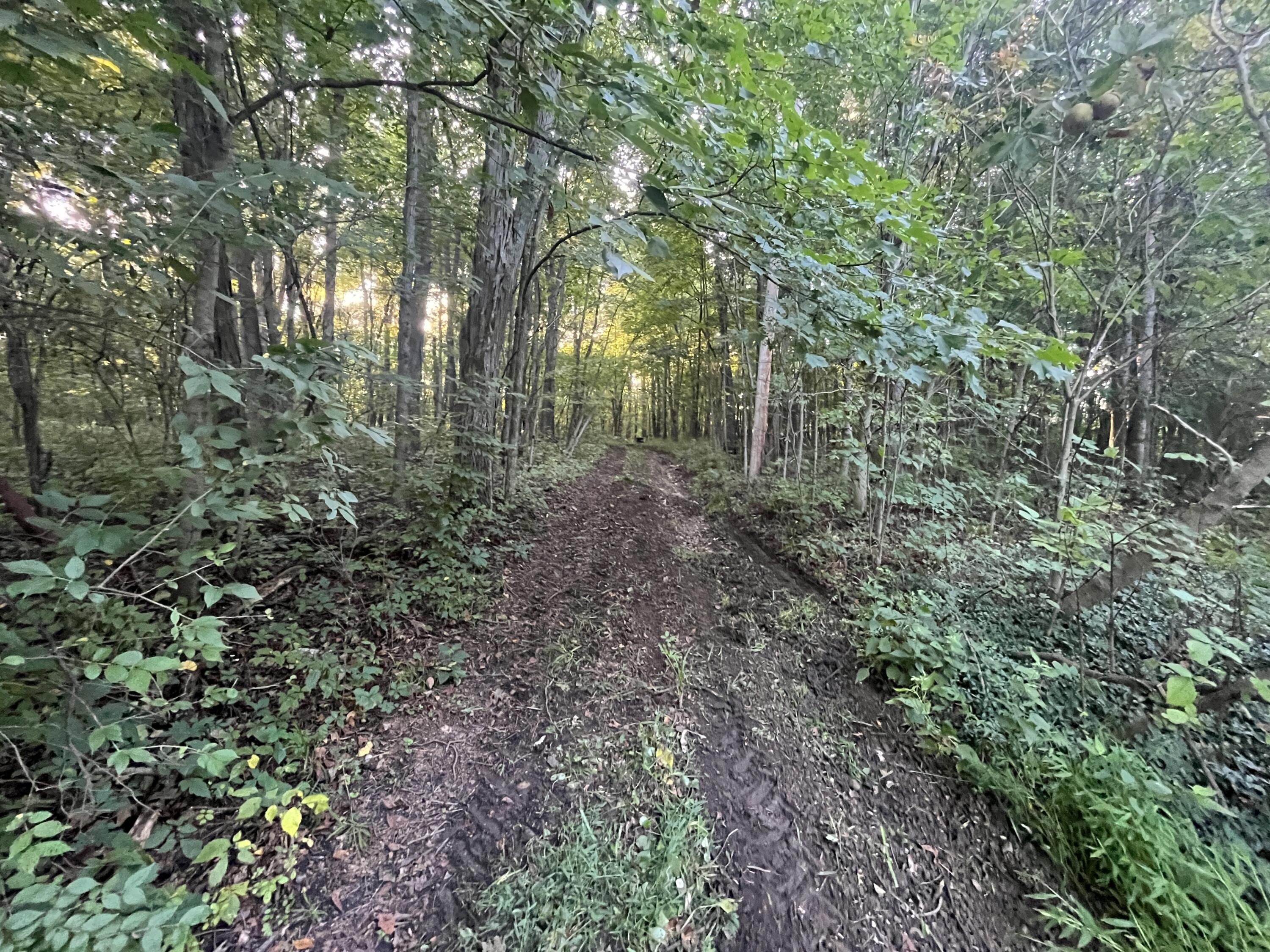 6575 Township Road 137, Rushsylvania, Ohio 43347