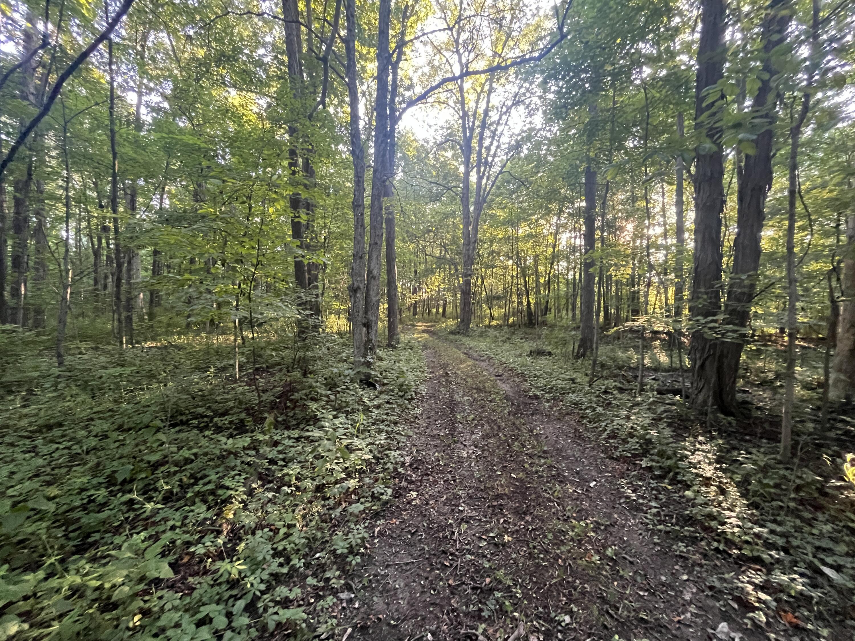 6575 Township Road 137, Rushsylvania, Ohio 43347