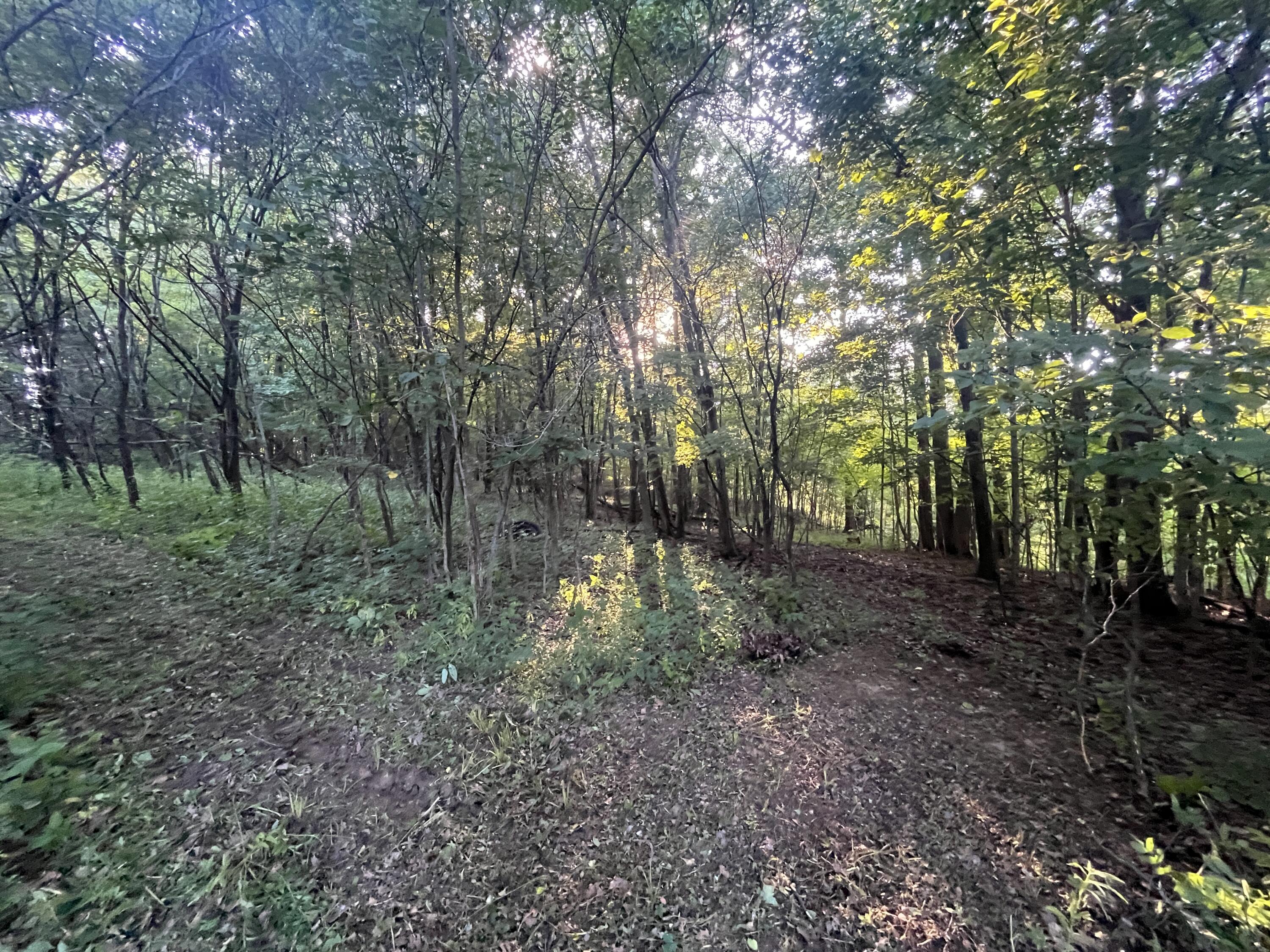 6575 Township Road 137, Rushsylvania, Ohio 43347