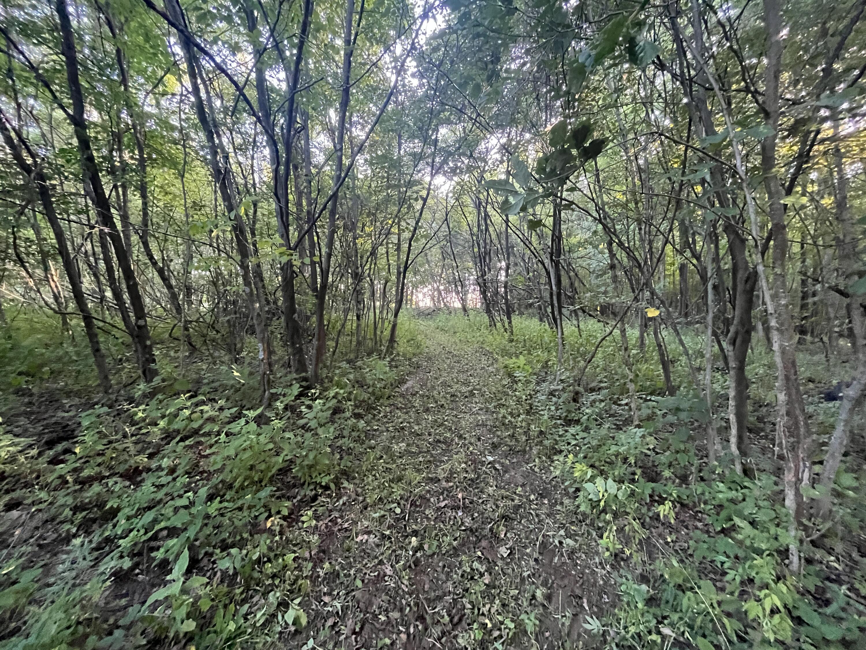 6575 Township Road 137, Rushsylvania, Ohio 43347