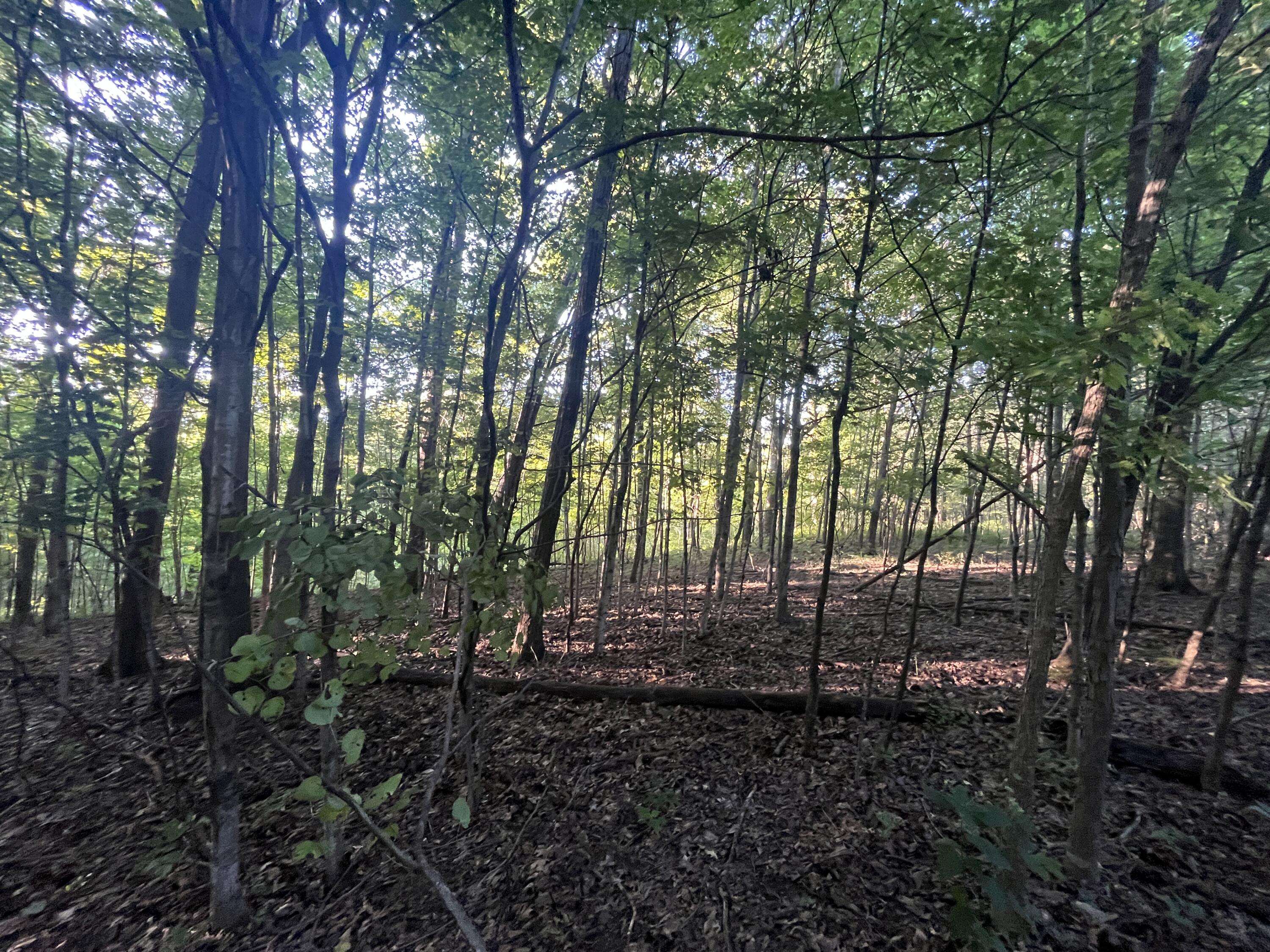 6575 Township Road 137, Rushsylvania, Ohio 43347