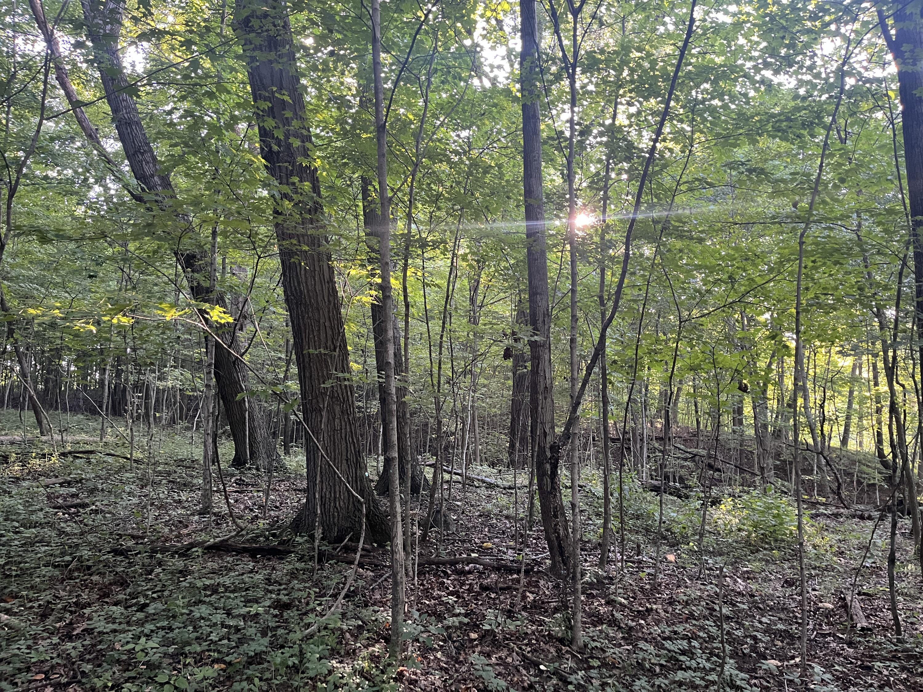 6575 Township Road 137, Rushsylvania, Ohio 43347