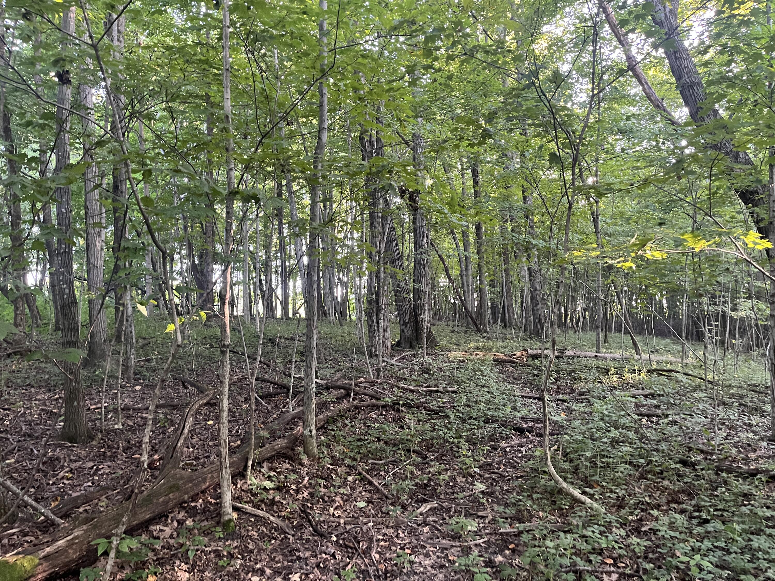 6575 Township Road 137, Rushsylvania, Ohio 43347