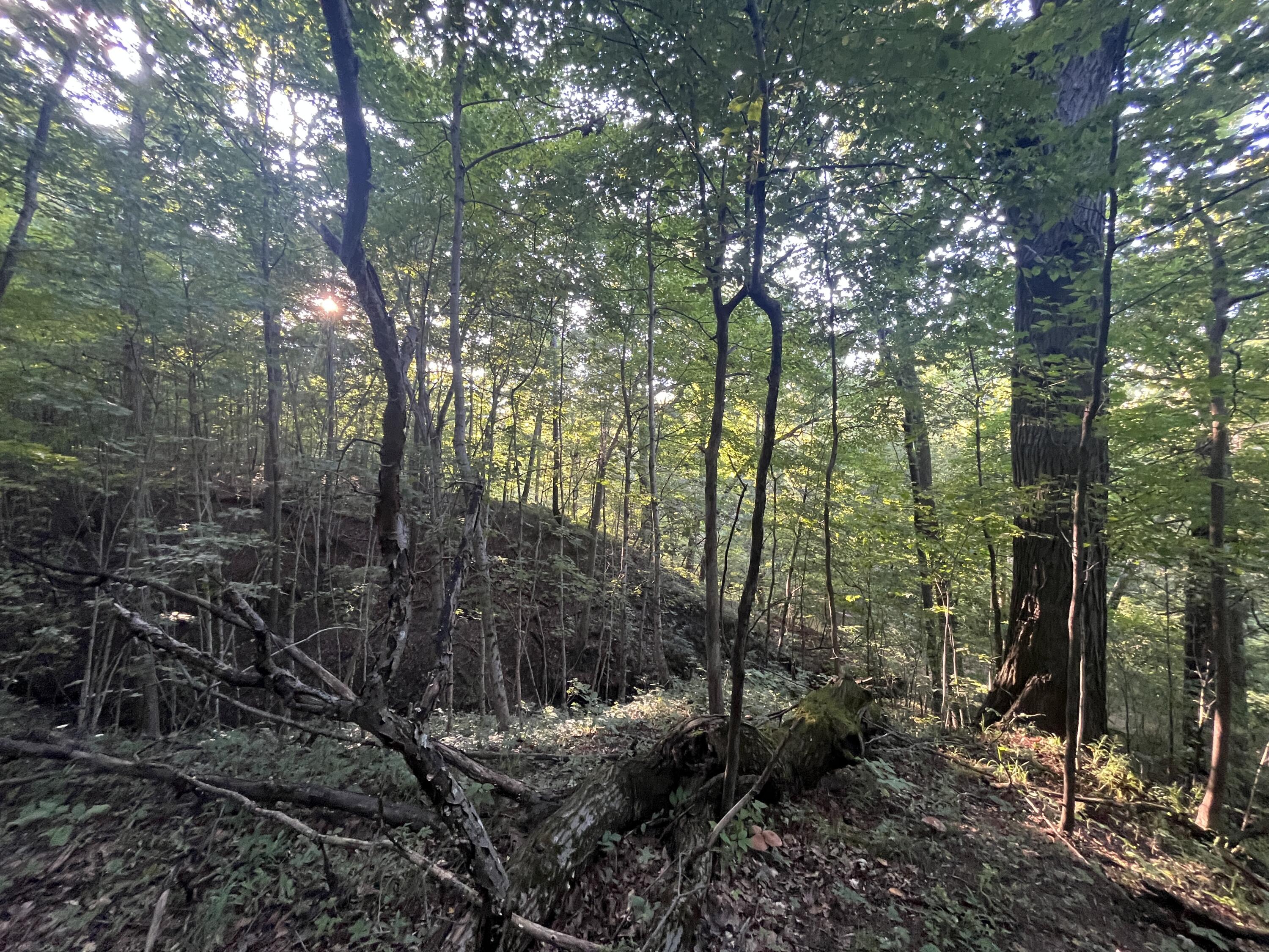 6575 Township Road 137, Rushsylvania, Ohio 43347