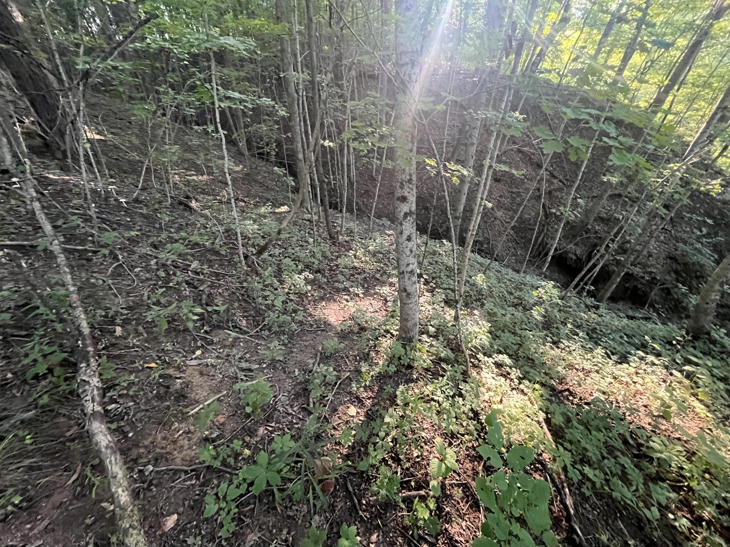 6575 Township Road 137, Rushsylvania, Ohio 43347