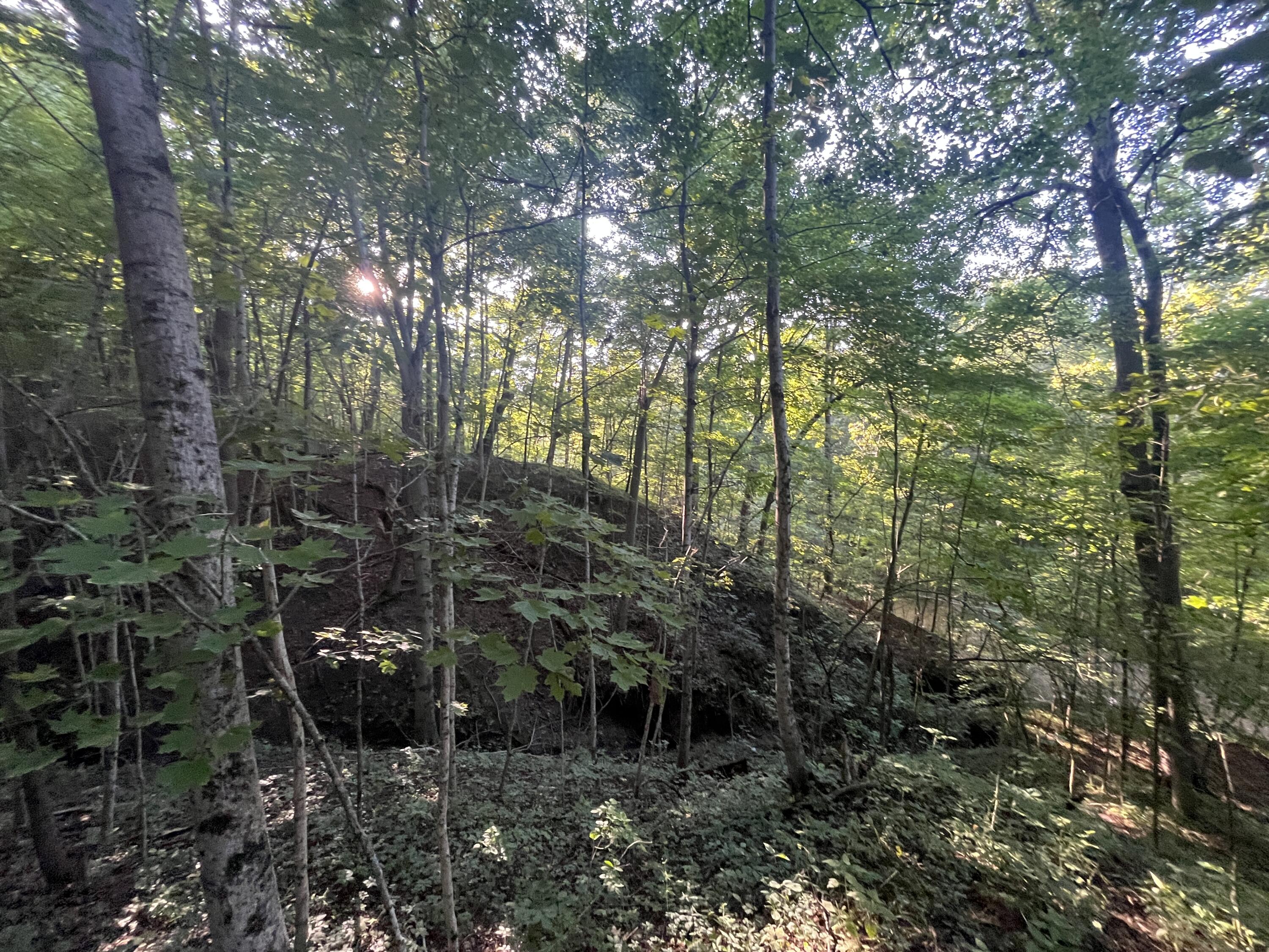 6575 Township Road 137, Rushsylvania, Ohio 43347