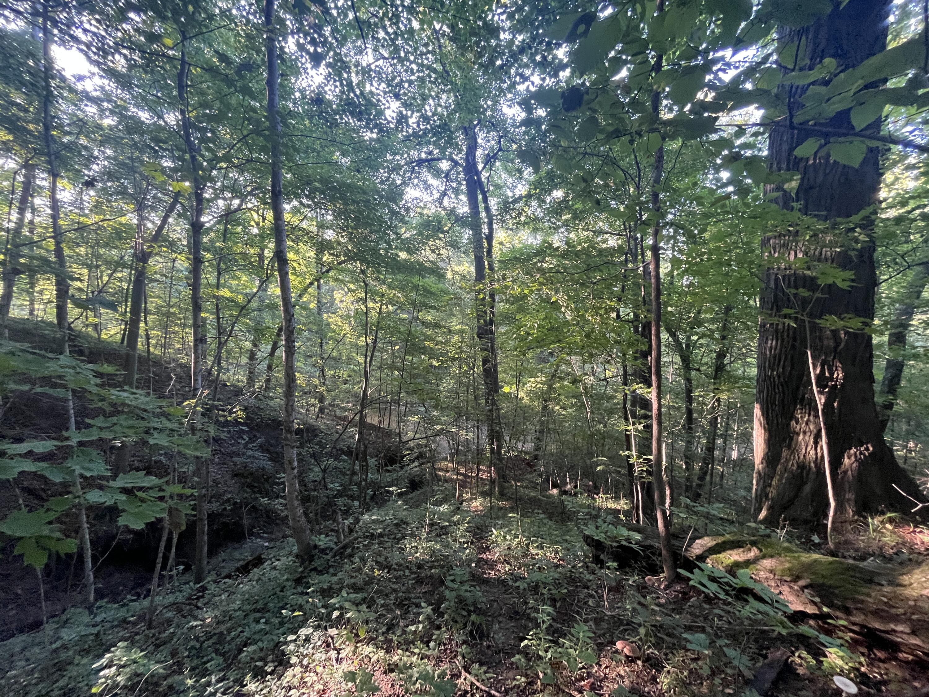 6575 Township Road 137, Rushsylvania, Ohio 43347