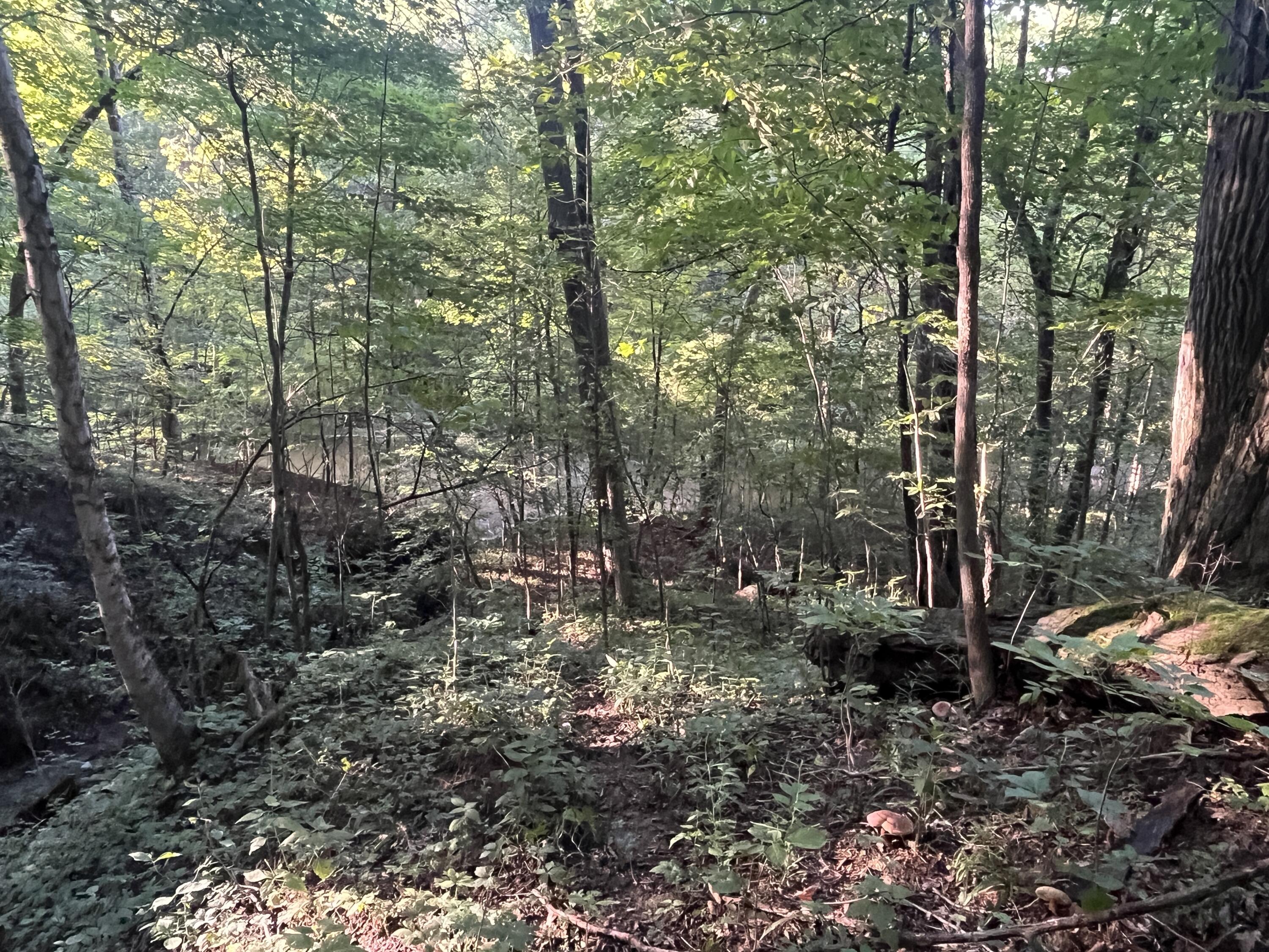 6575 Township Road 137, Rushsylvania, Ohio 43347