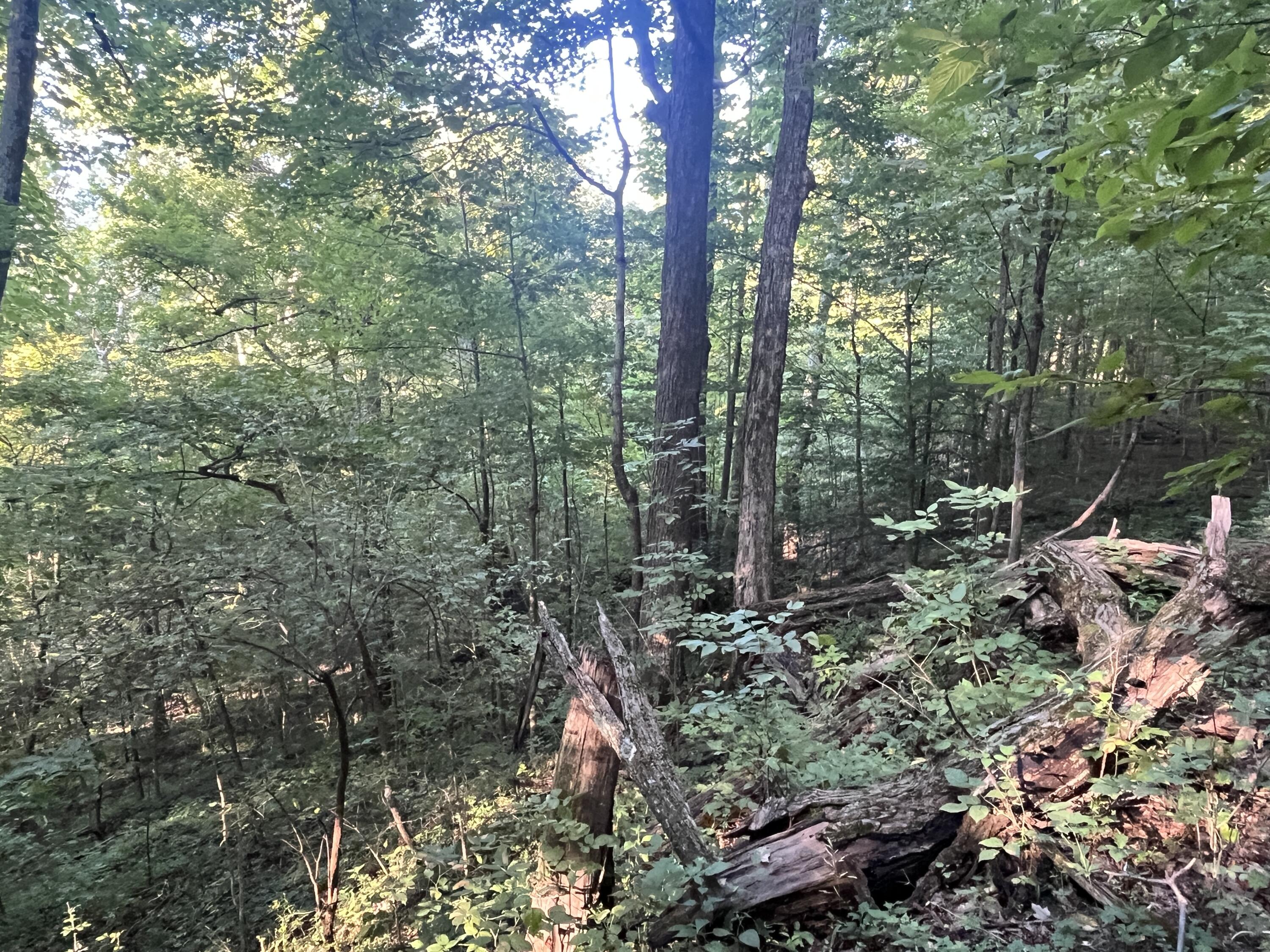 6575 Township Road 137, Rushsylvania, Ohio 43347