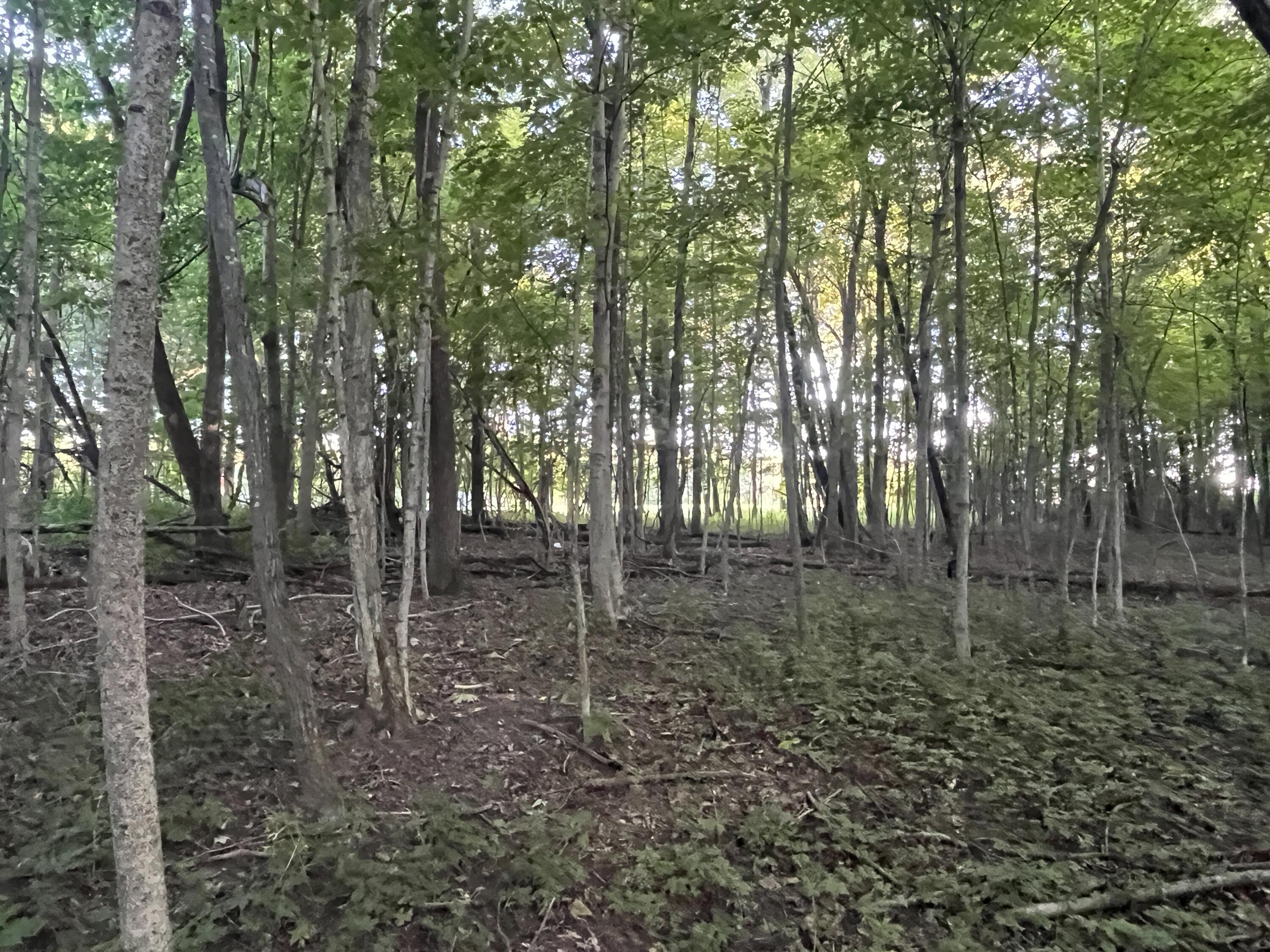 6575 Township Road 137, Rushsylvania, Ohio 43347