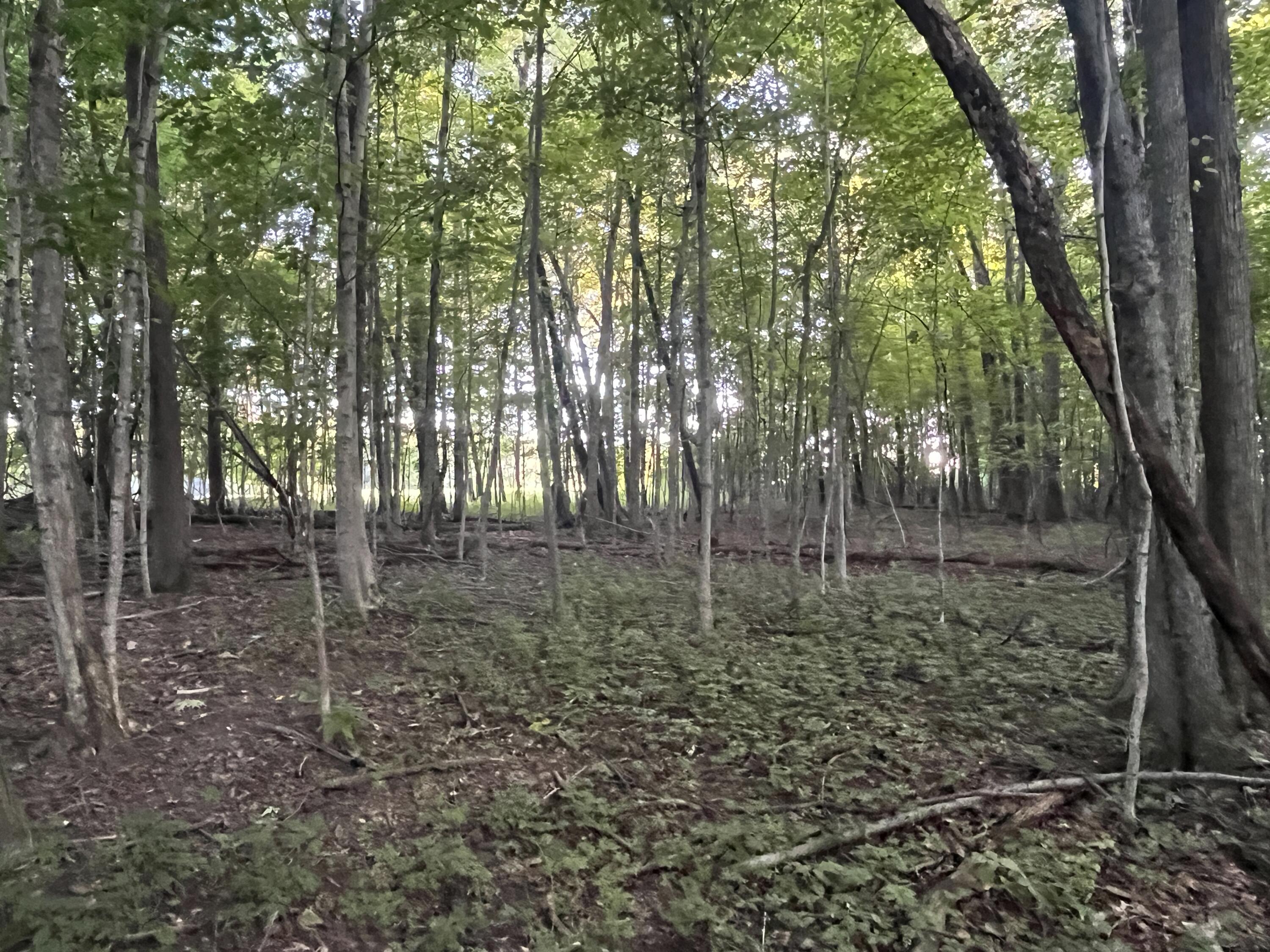 6575 Township Road 137, Rushsylvania, Ohio 43347