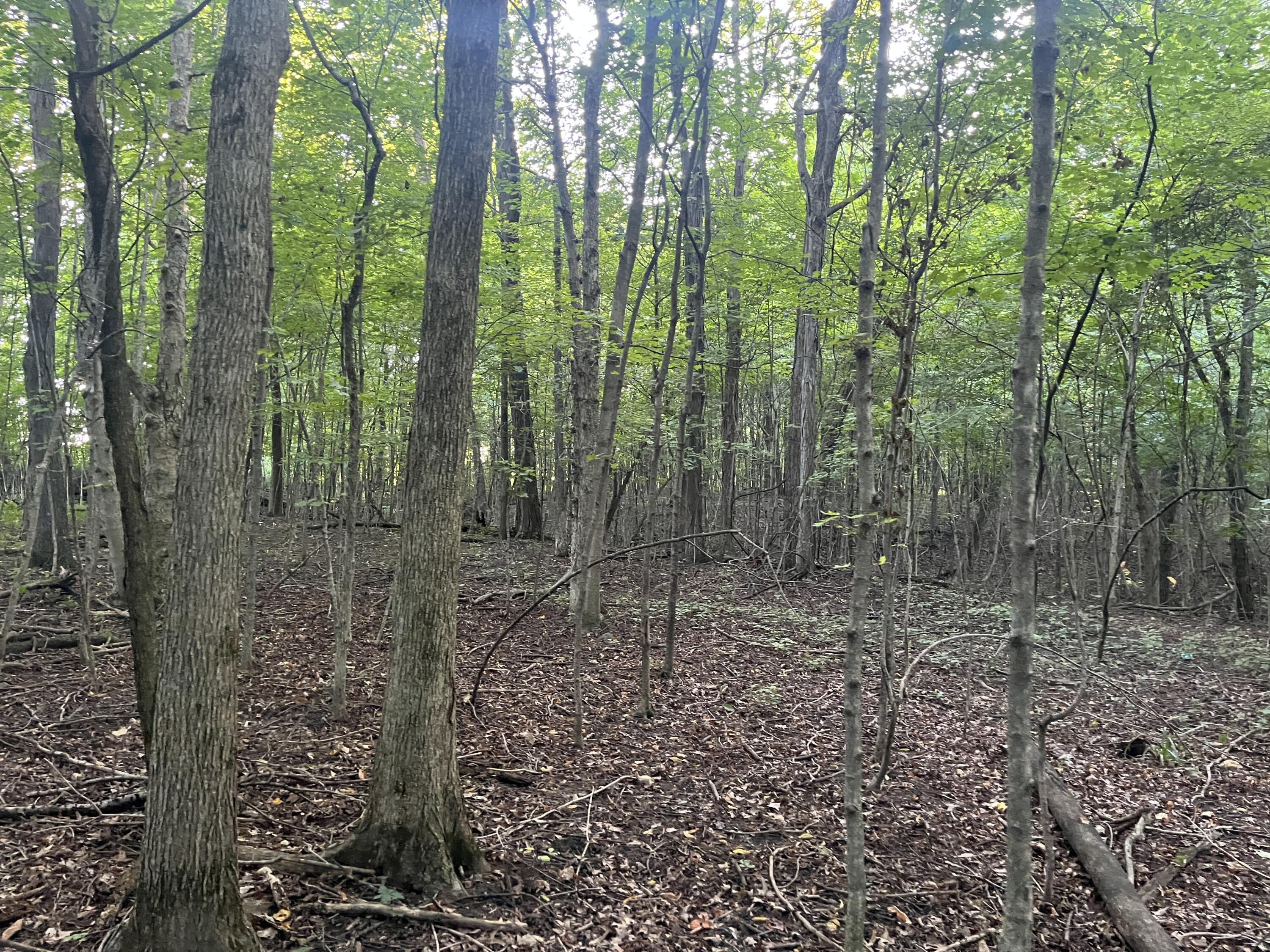 6575 Township Road 137, Rushsylvania, Ohio 43347