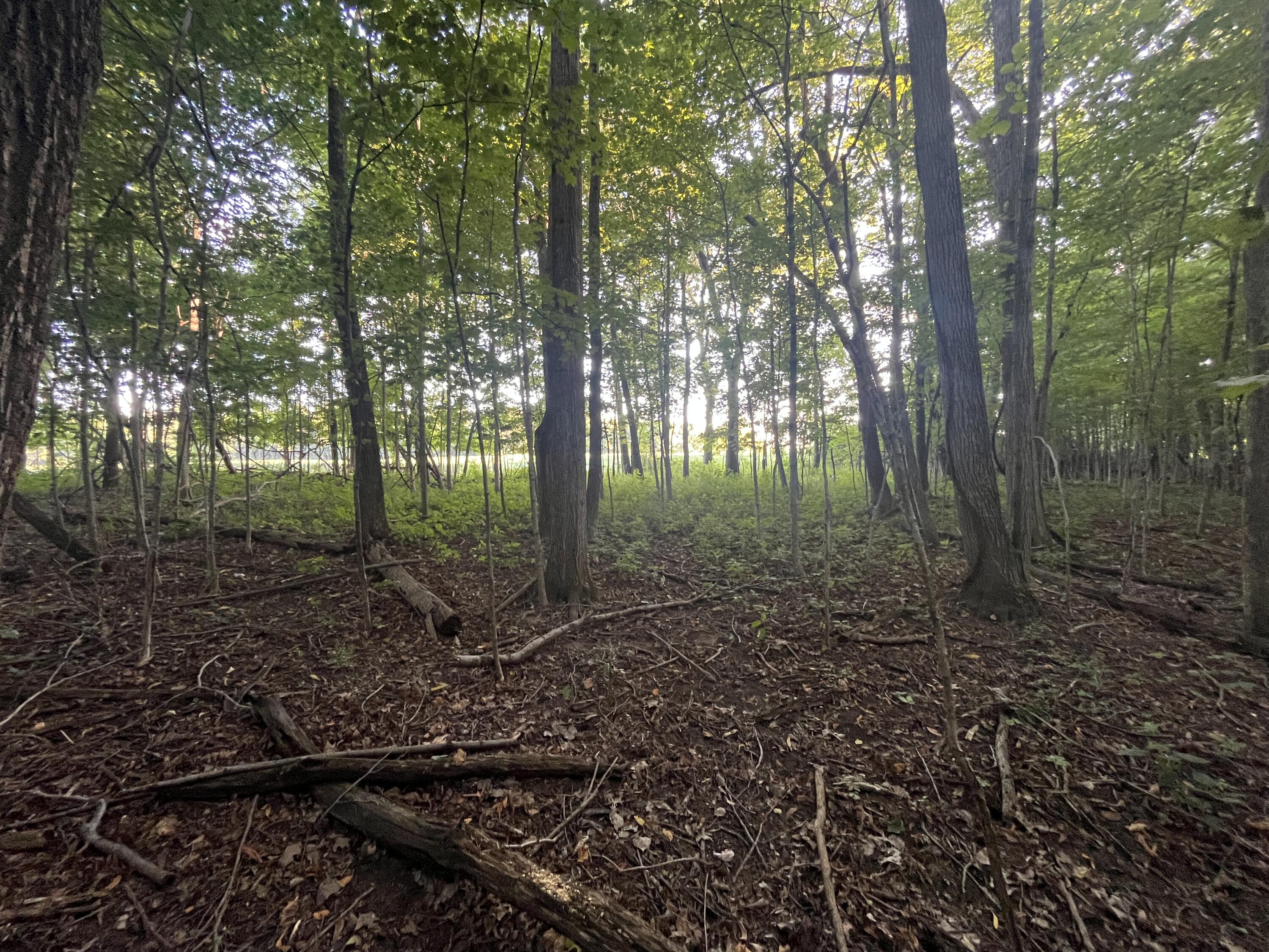 6575 Township Road 137, Rushsylvania, Ohio 43347