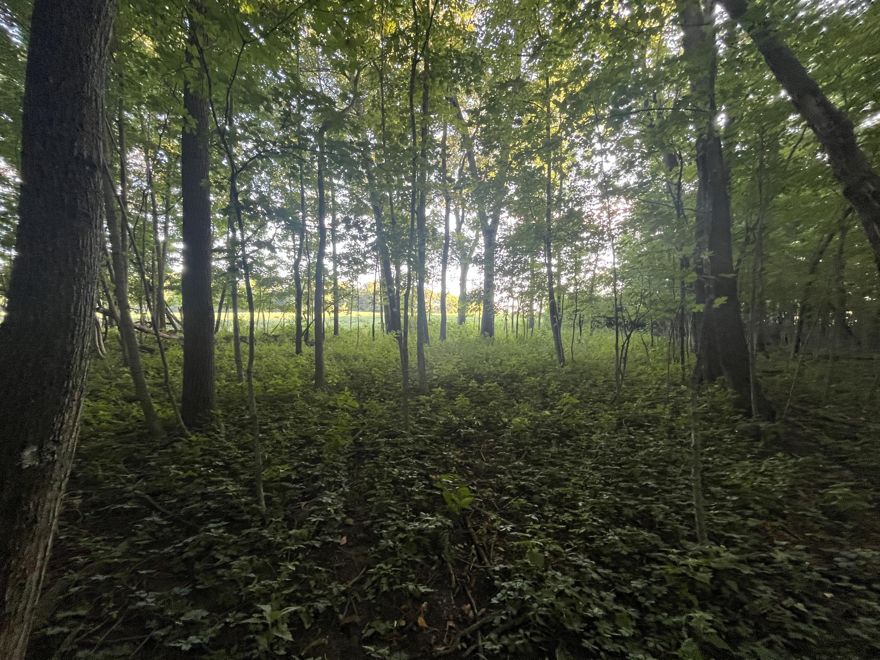 6575 Township Road 137, Rushsylvania, Ohio 43347