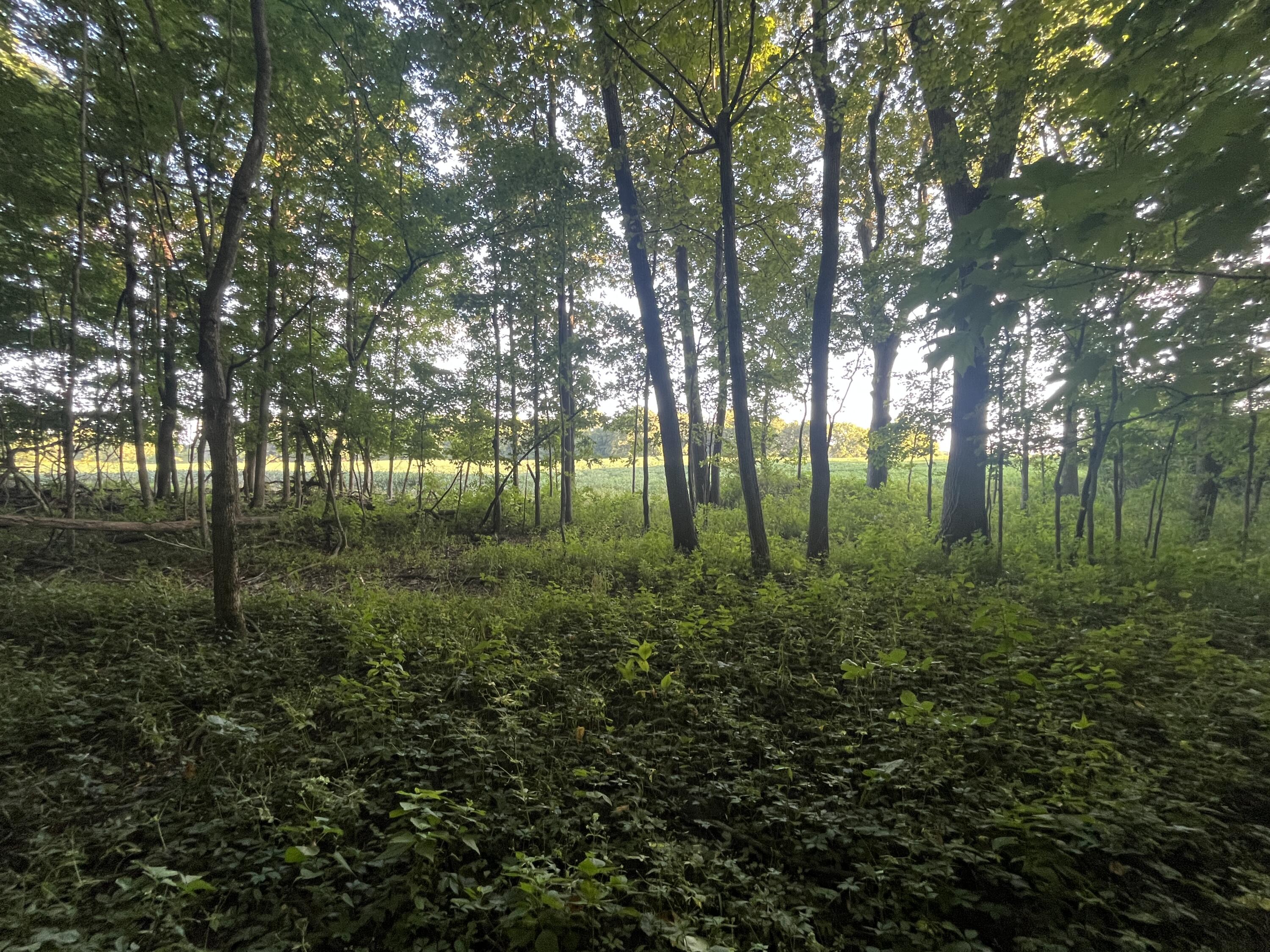 6575 Township Road 137, Rushsylvania, Ohio 43347
