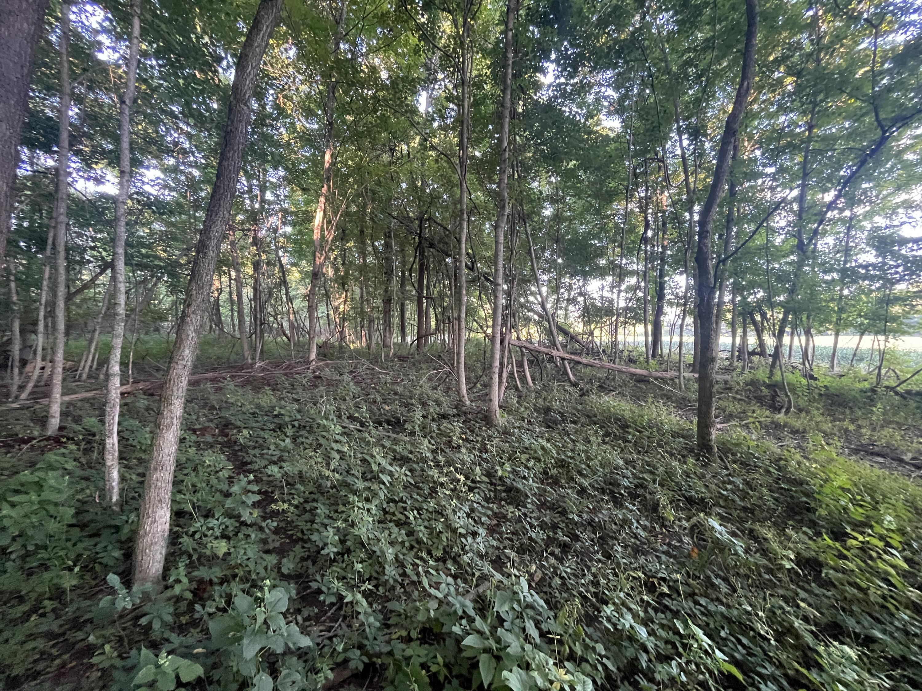 6575 Township Road 137, Rushsylvania, Ohio 43347