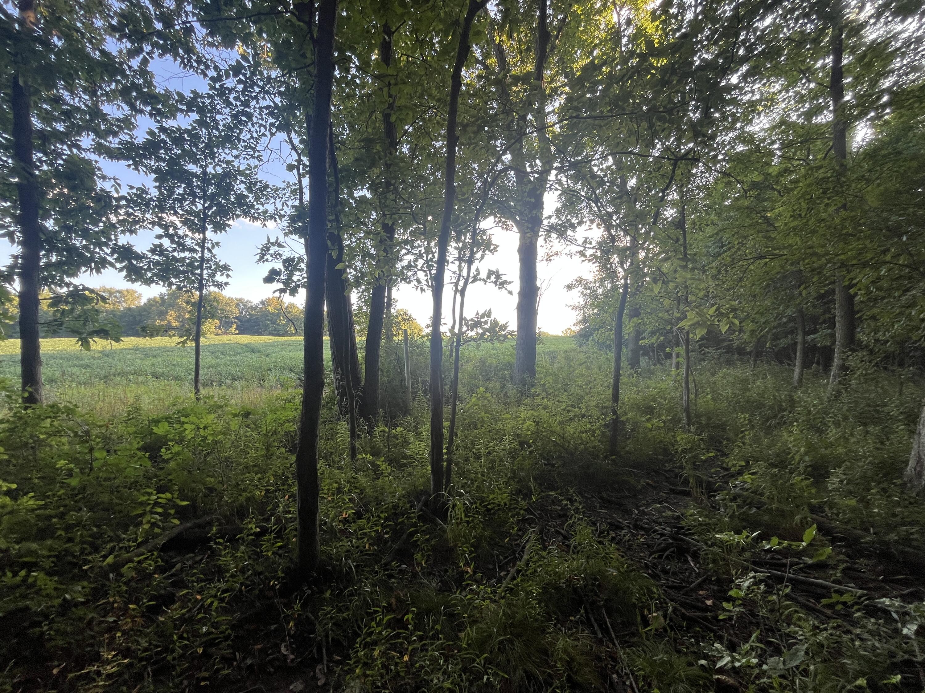6575 Township Road 137, Rushsylvania, Ohio 43347