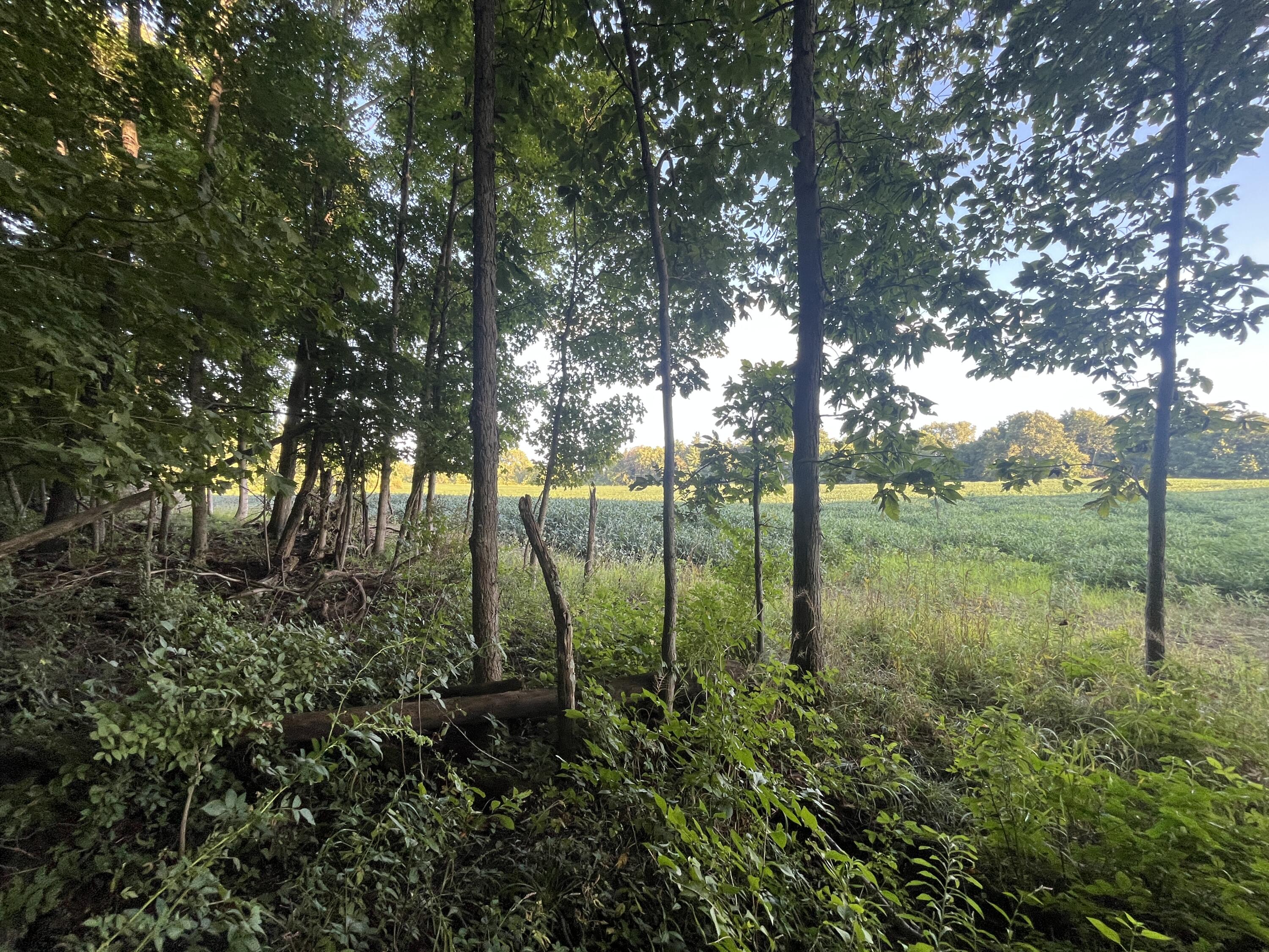6575 Township Road 137, Rushsylvania, Ohio 43347