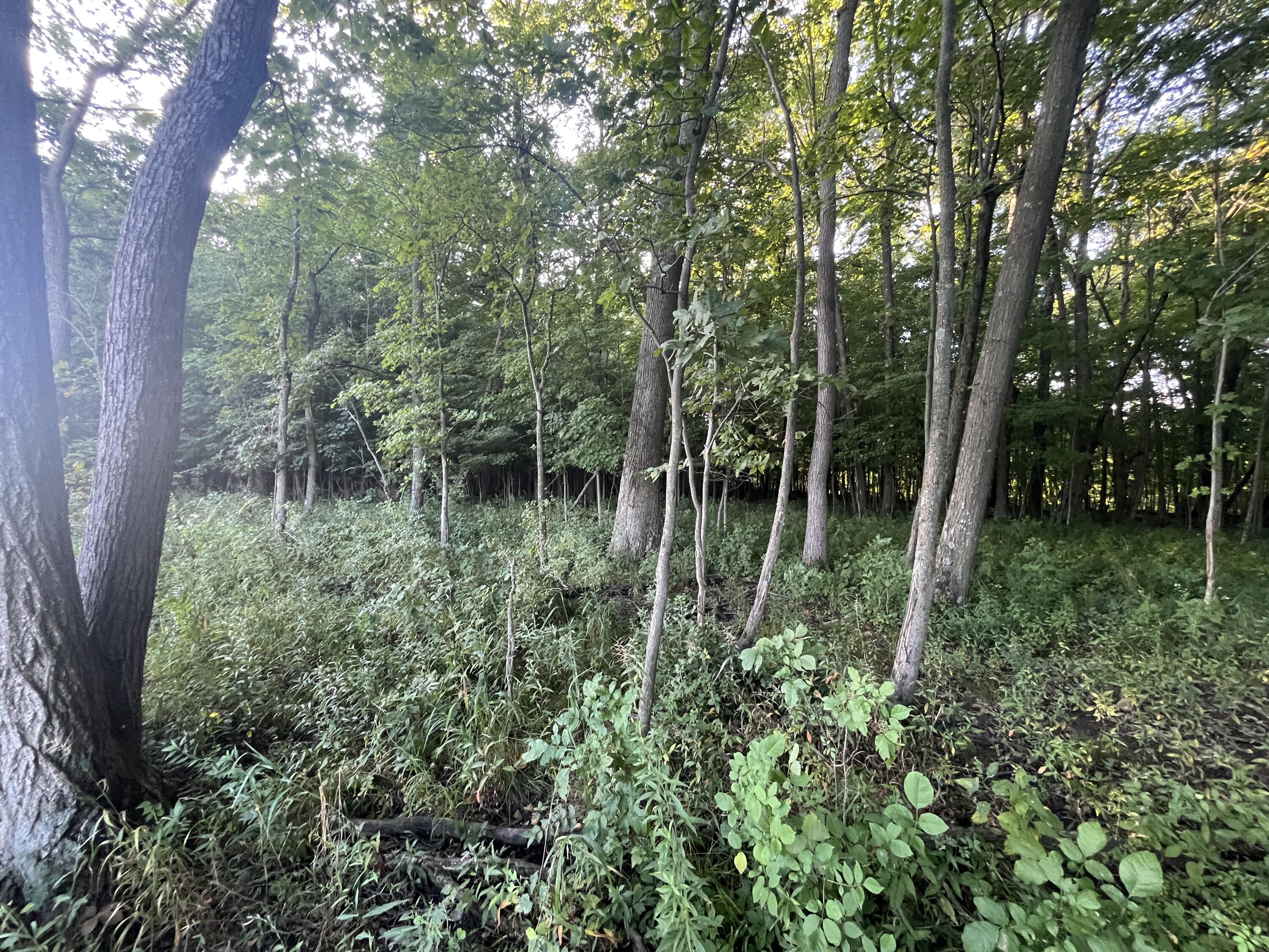 6575 Township Road 137, Rushsylvania, Ohio 43347