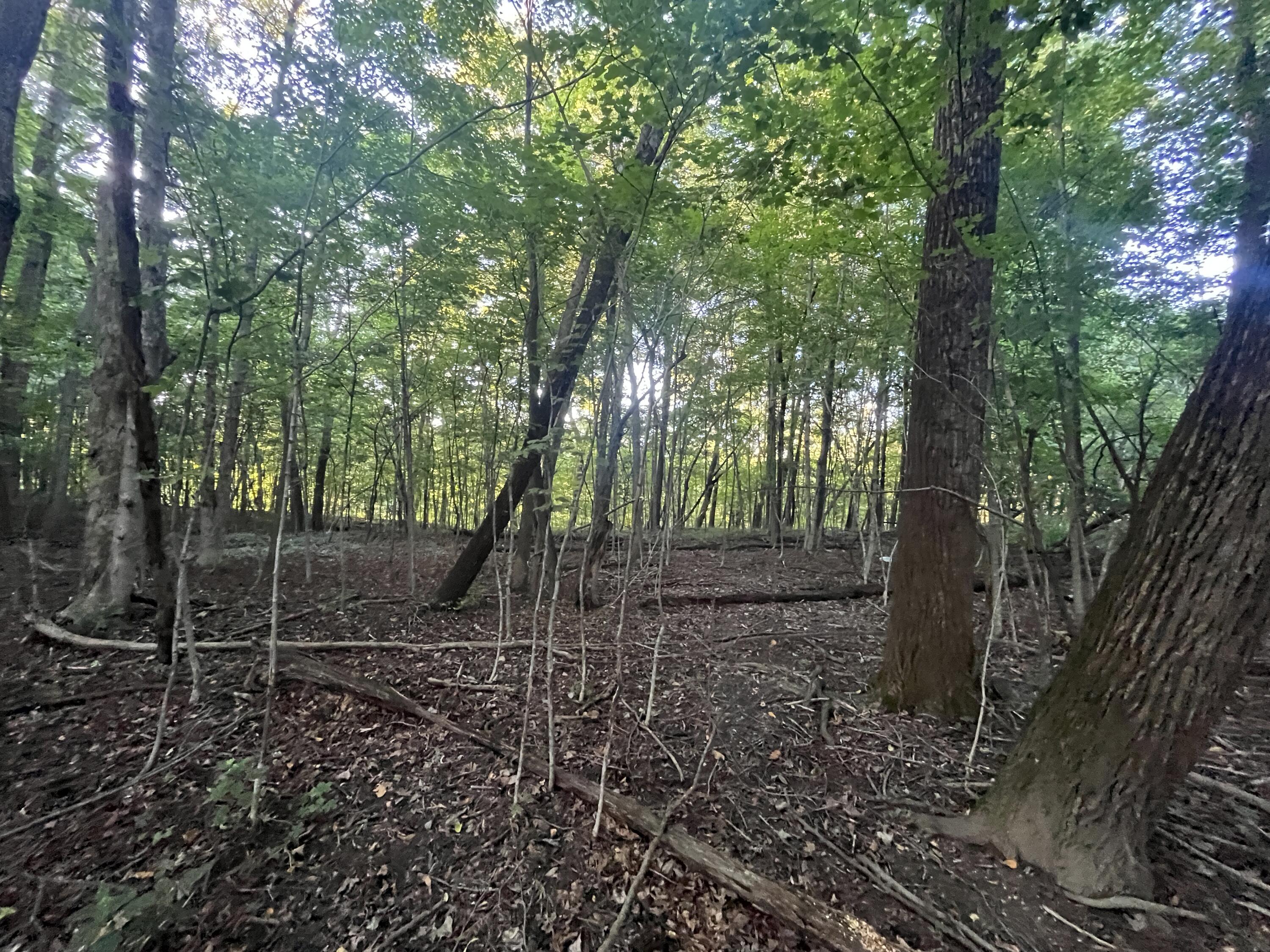6575 Township Road 137, Rushsylvania, Ohio 43347
