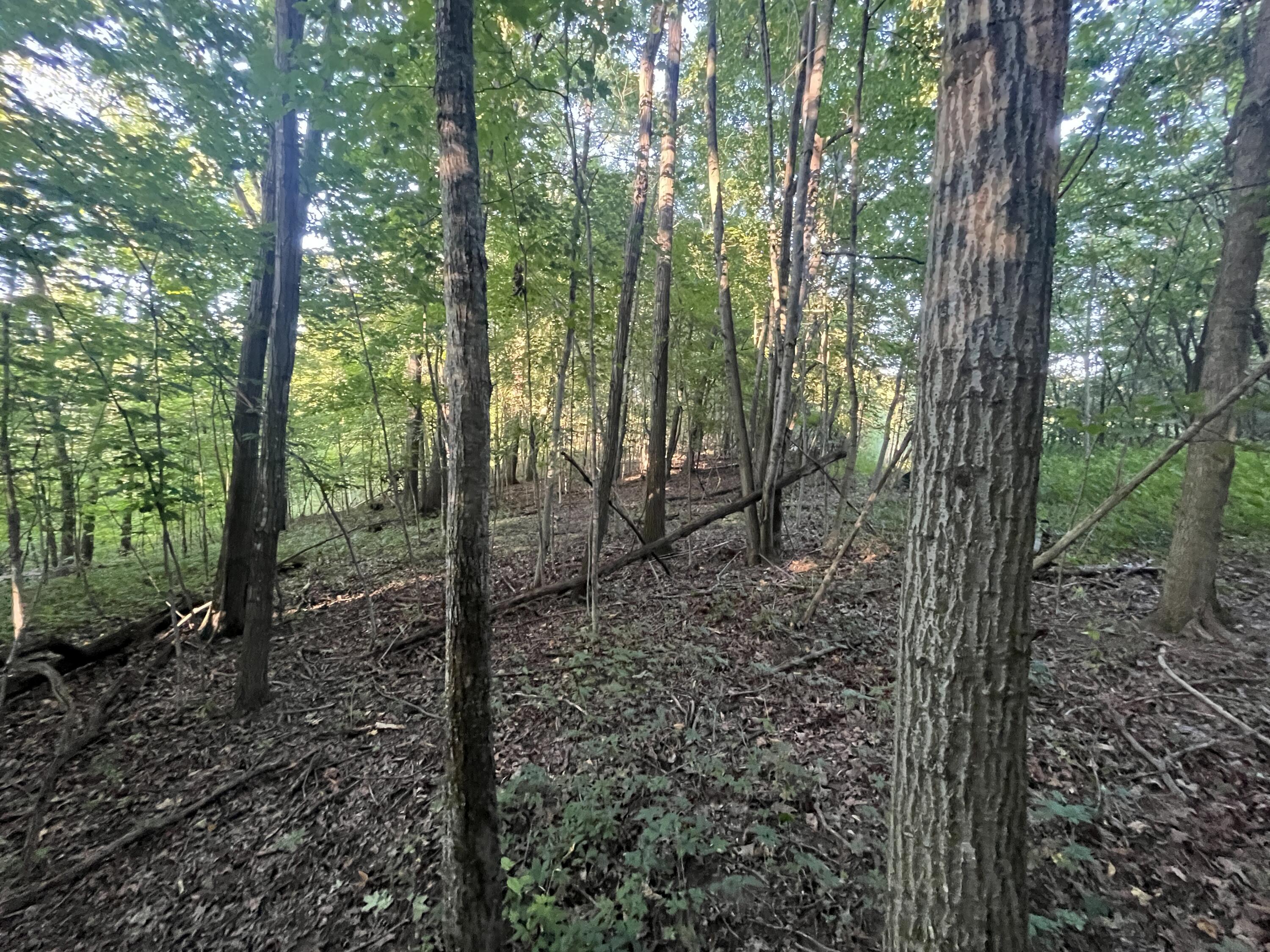 6575 Township Road 137, Rushsylvania, Ohio 43347