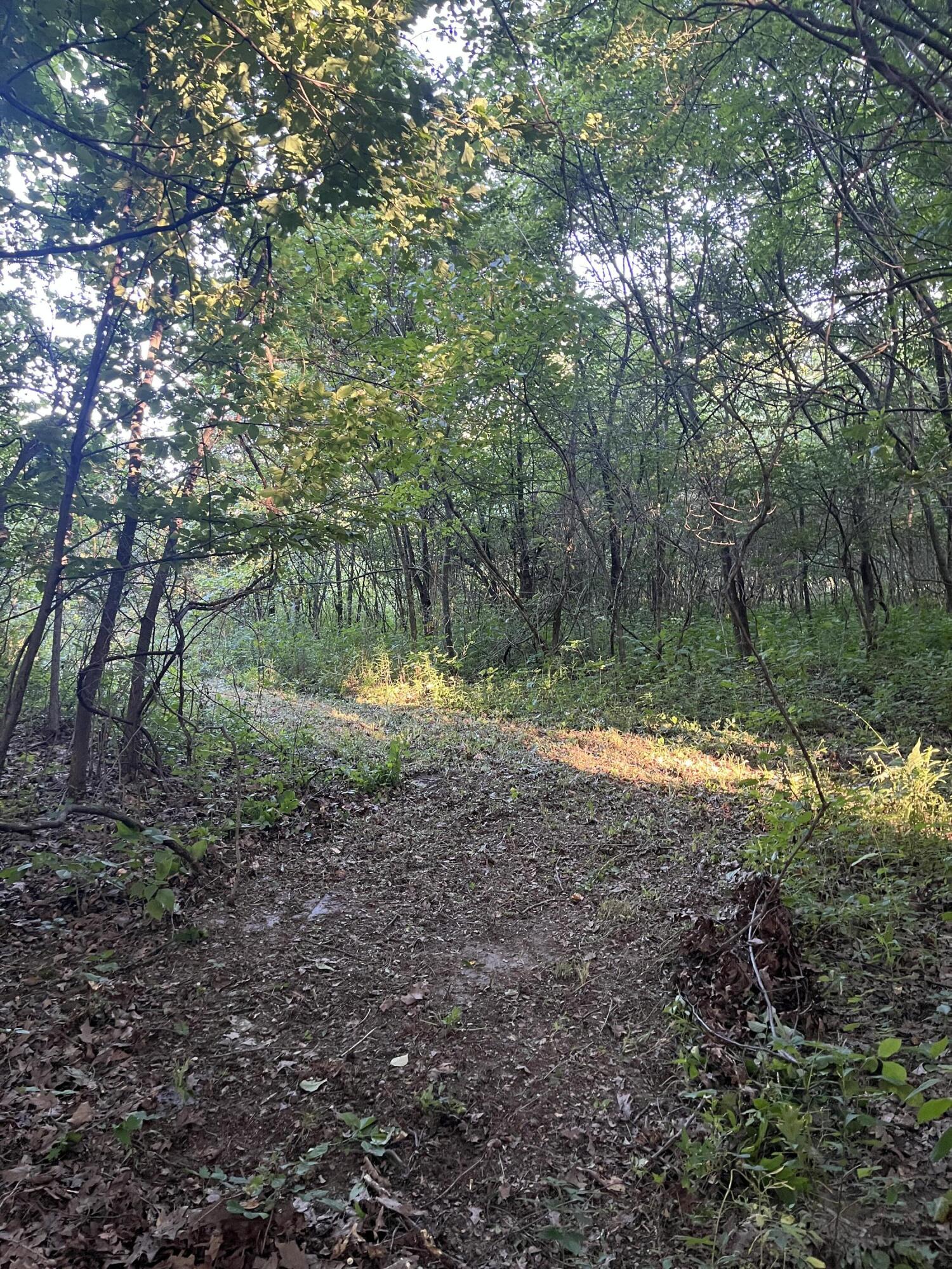 6575 Township Road 137, Rushsylvania, Ohio 43347