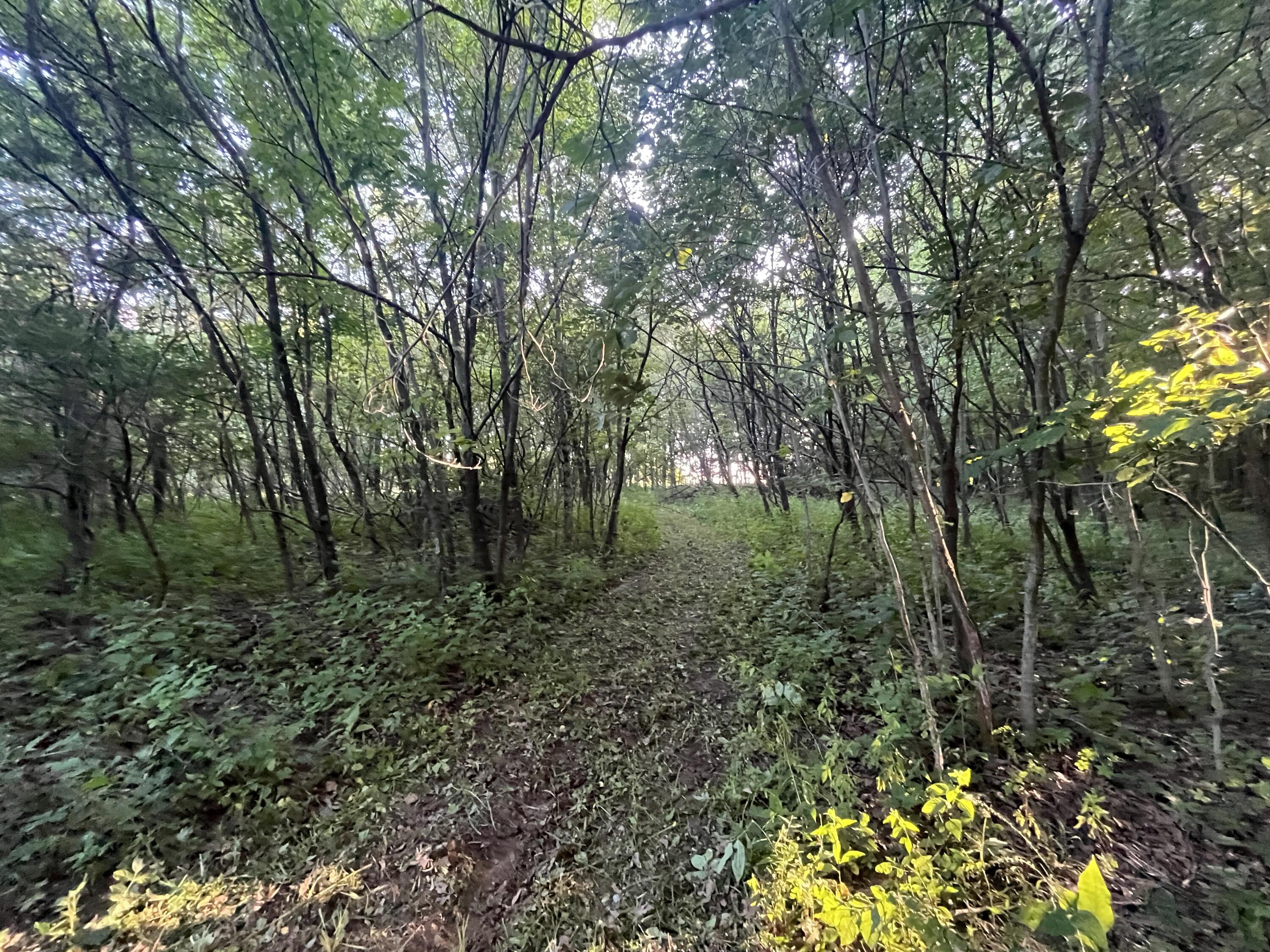 6575 Township Road 137, Rushsylvania, Ohio 43347