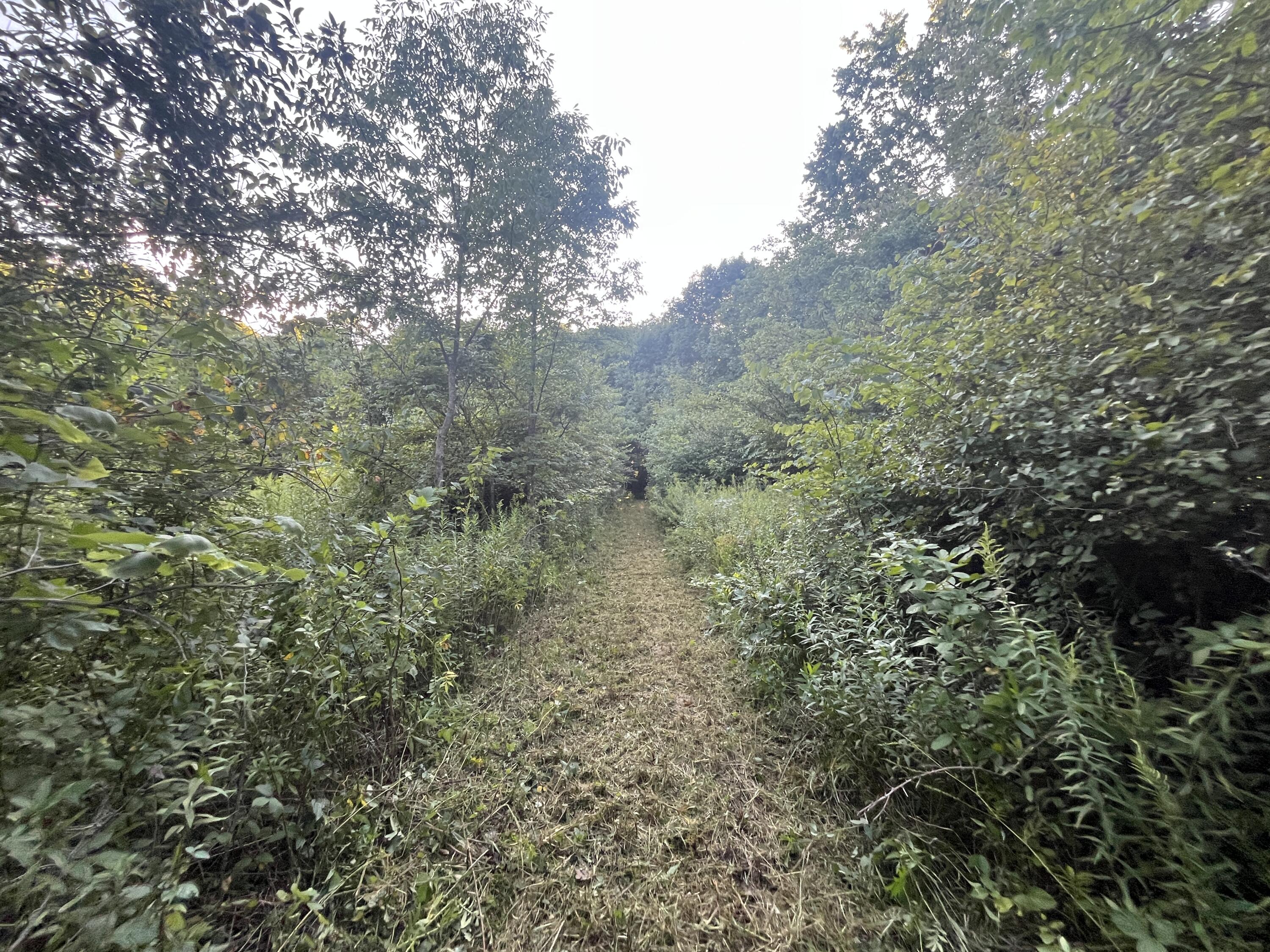6575 Township Road 137, Rushsylvania, Ohio 43347