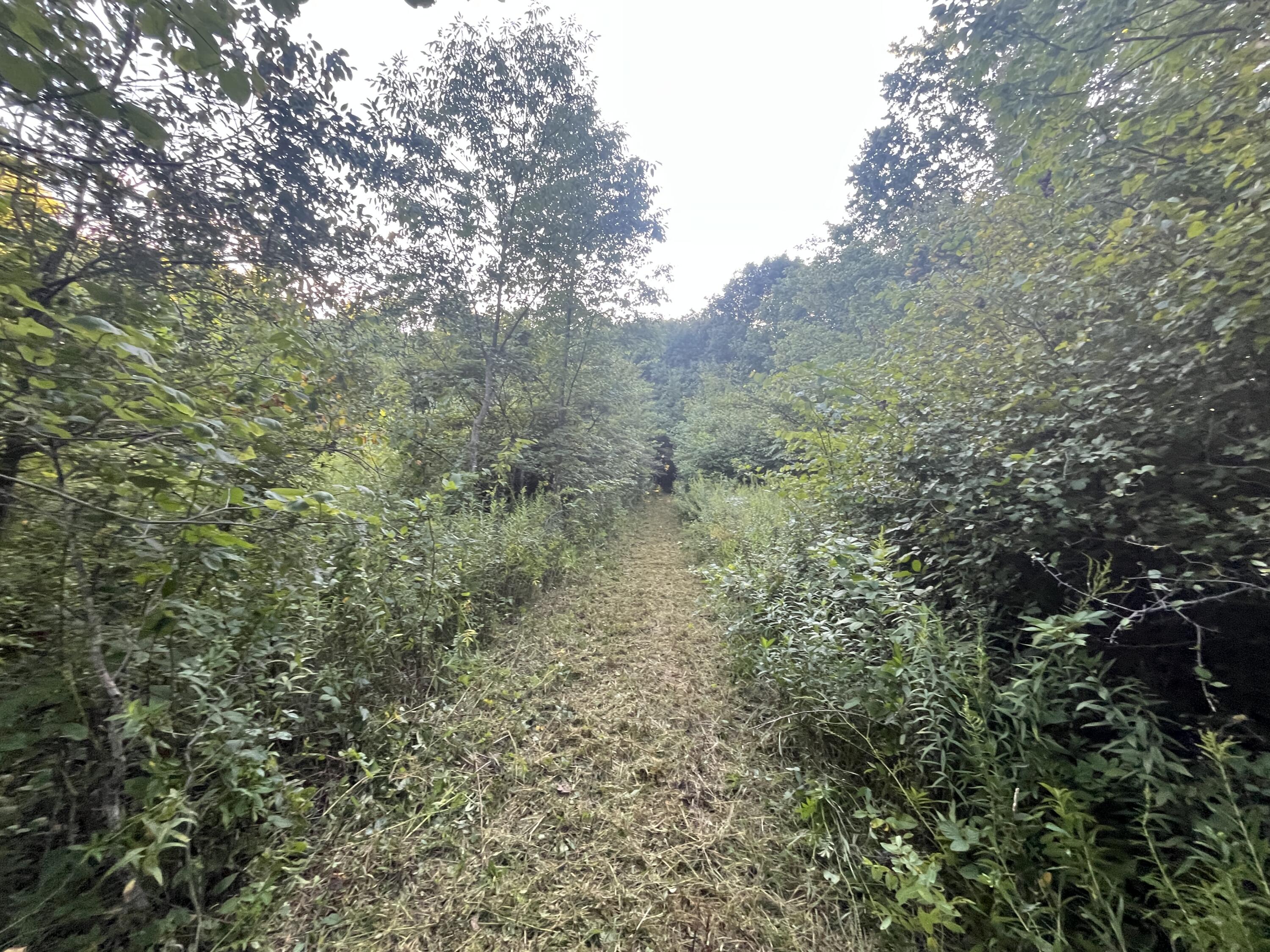 6575 Township Road 137, Rushsylvania, Ohio 43347