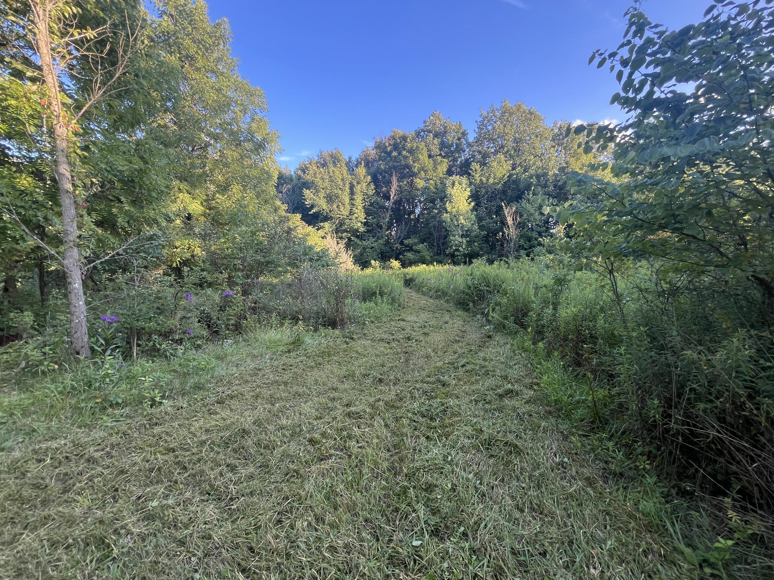 6575 Township Road 137, Rushsylvania, Ohio 43347