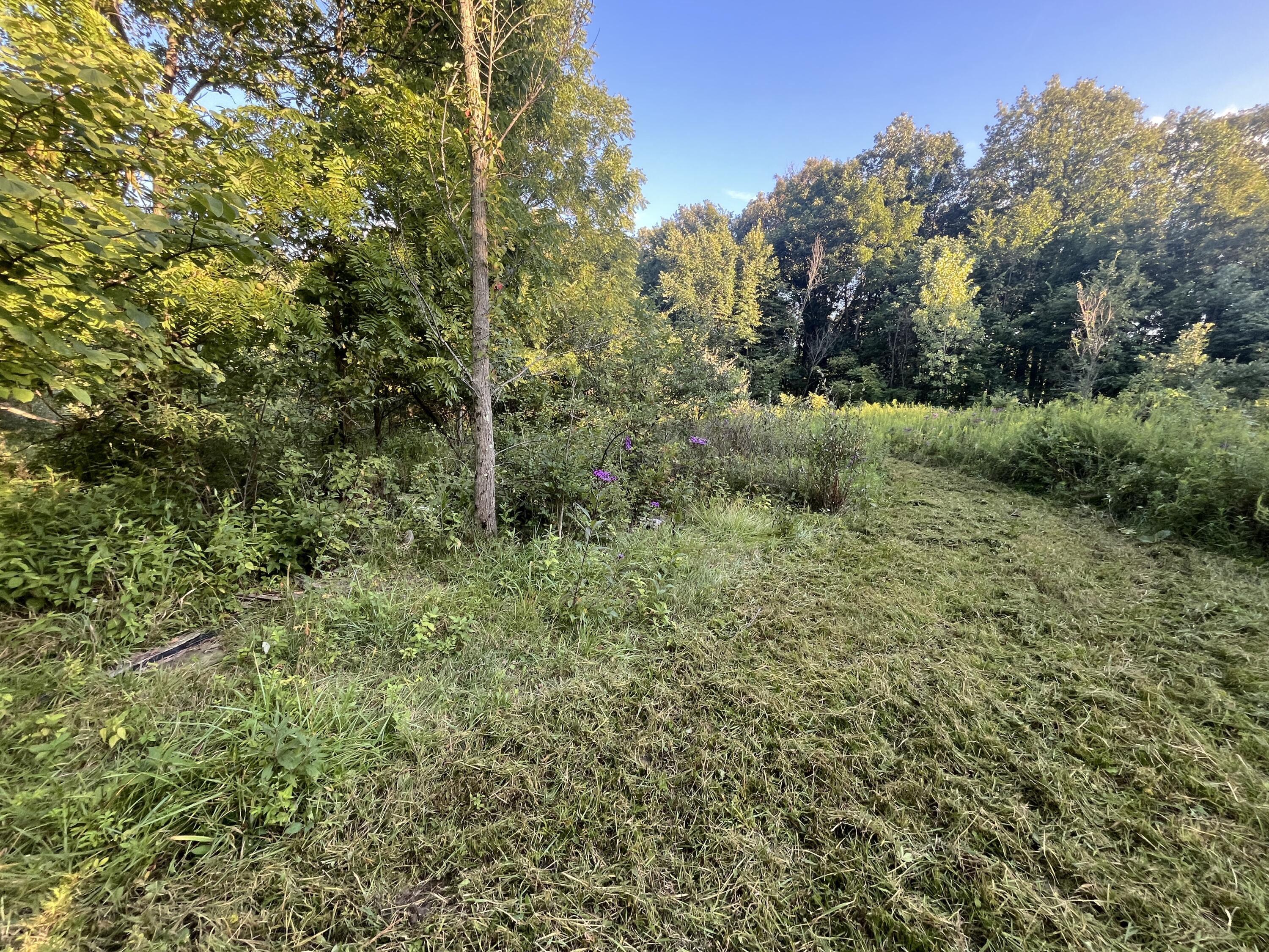 6575 Township Road 137, Rushsylvania, Ohio 43347