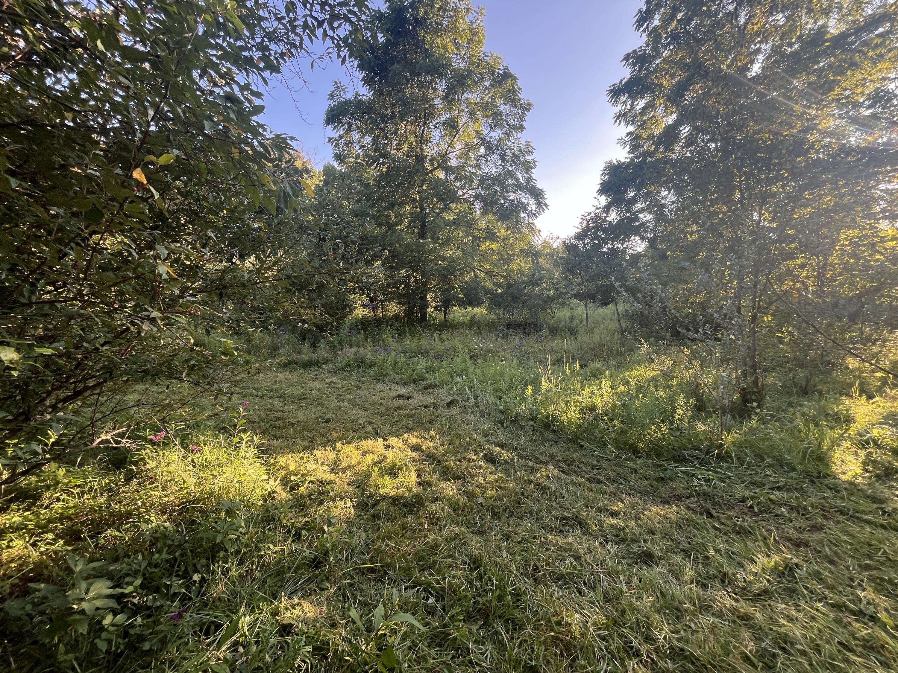 6575 Township Road 137, Rushsylvania, Ohio 43347