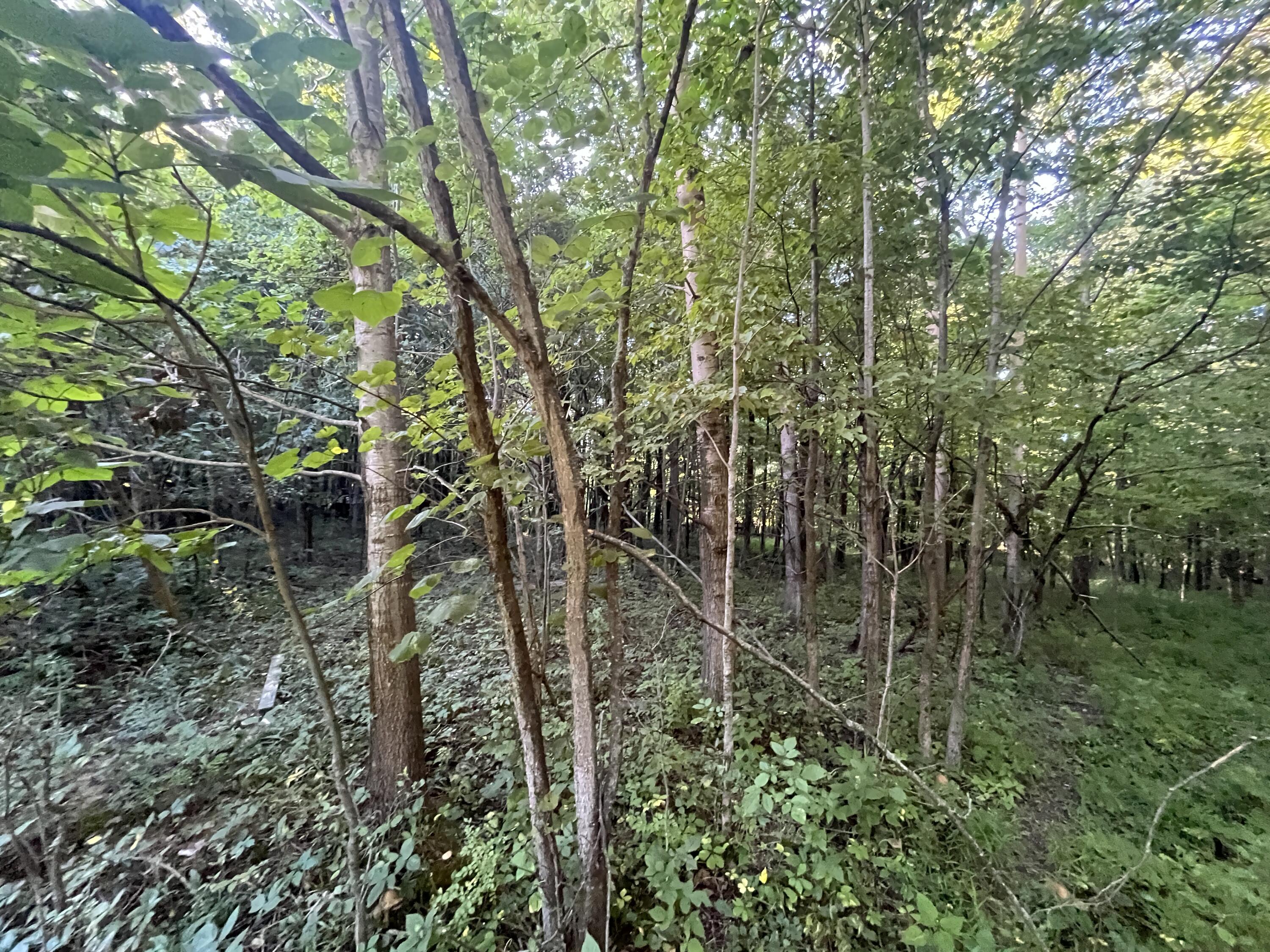 6575 Township Road 137, Rushsylvania, Ohio 43347