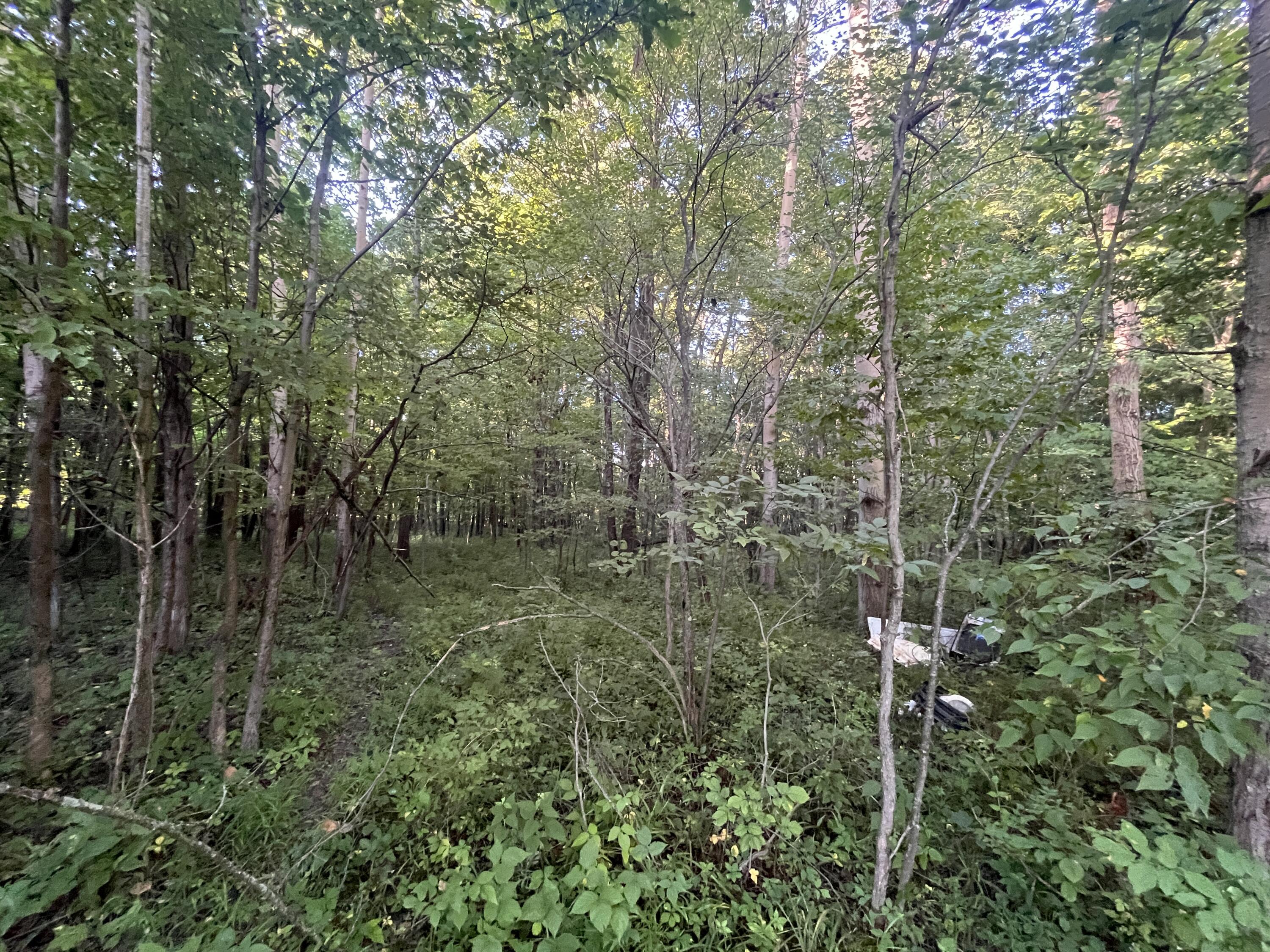 6575 Township Road 137, Rushsylvania, Ohio 43347