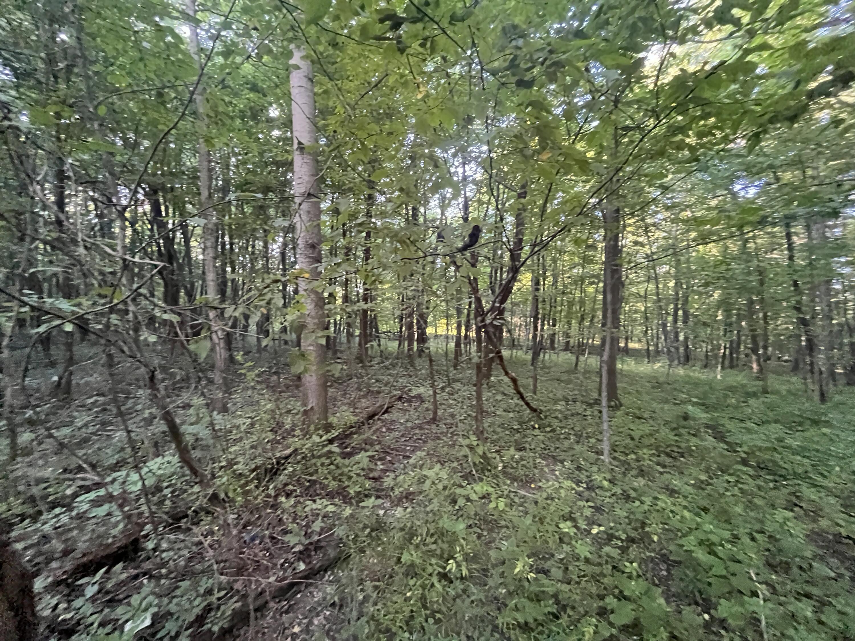 6575 Township Road 137, Rushsylvania, Ohio 43347