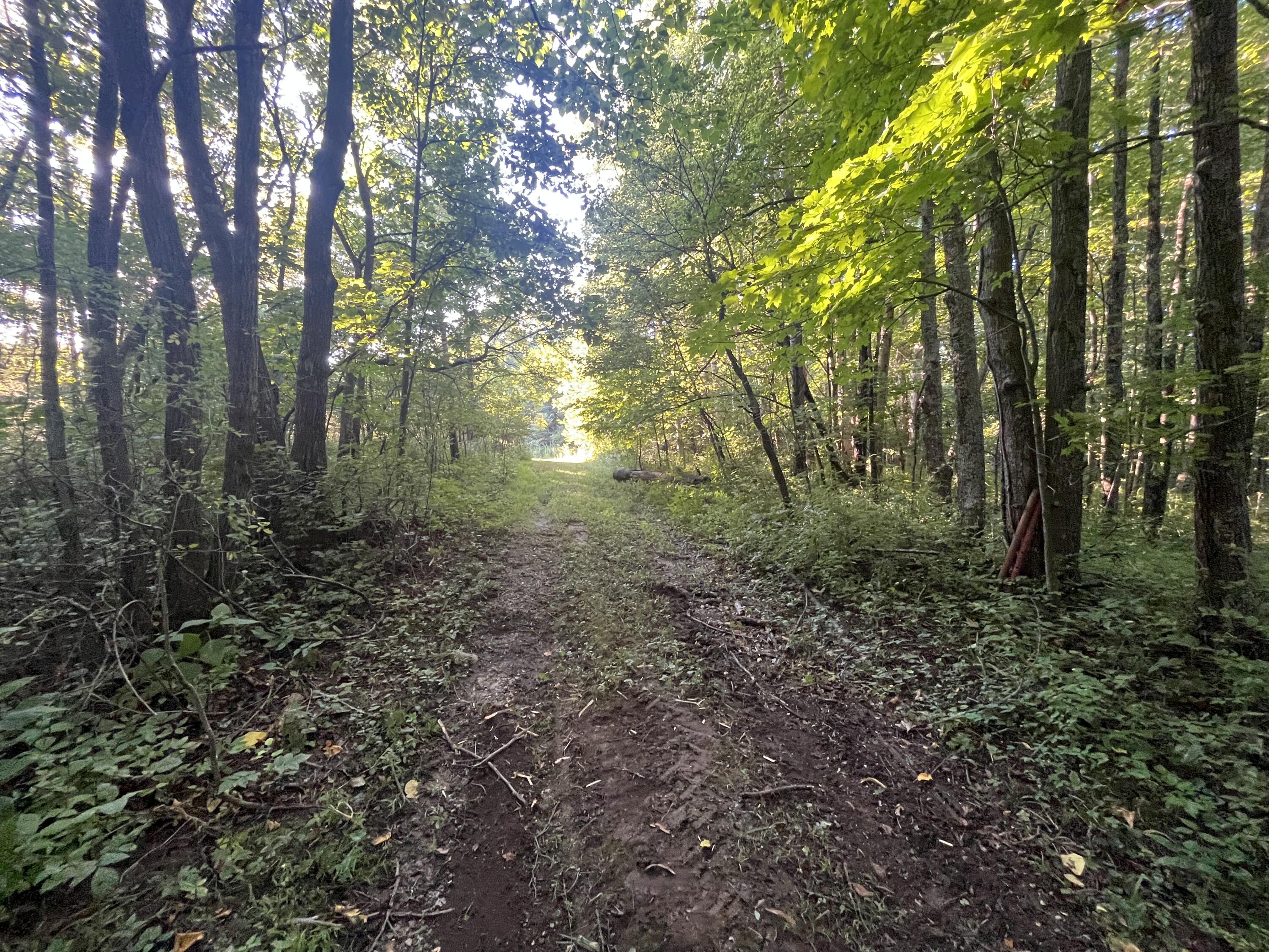6575 Township Road 137, Rushsylvania, Ohio 43347