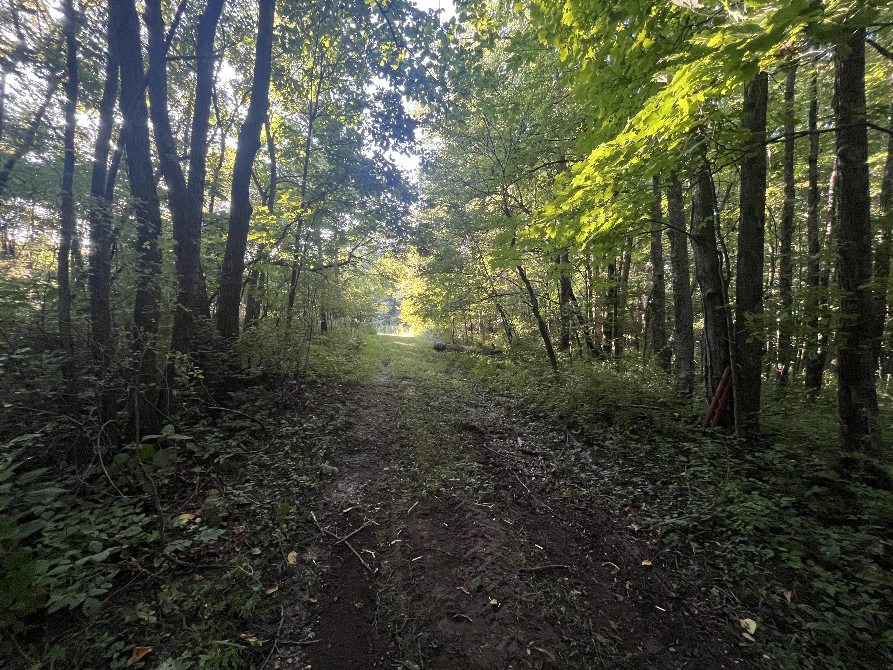6575 Township Road 137, Rushsylvania, Ohio 43347