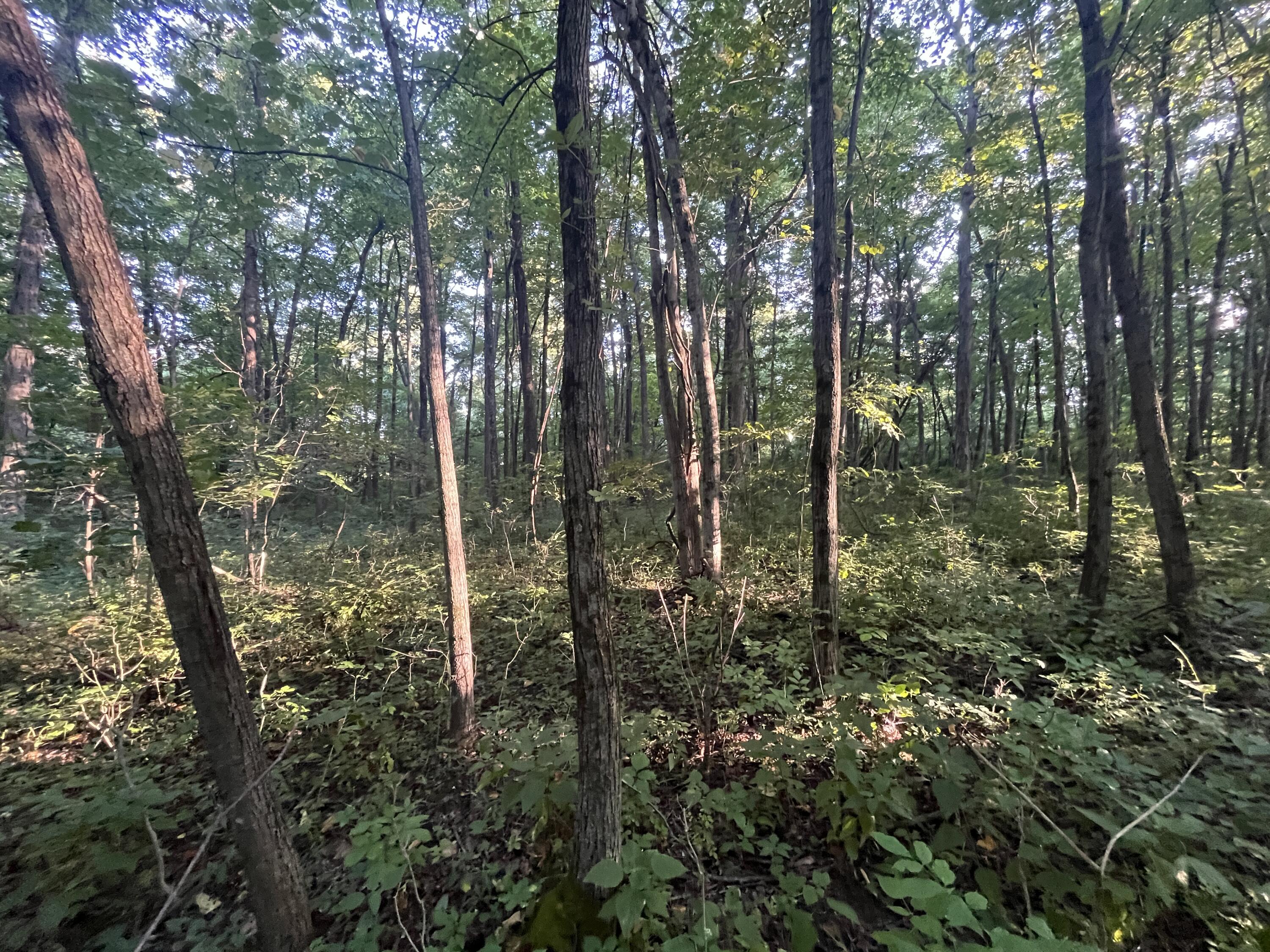 6575 Township Road 137, Rushsylvania, Ohio 43347