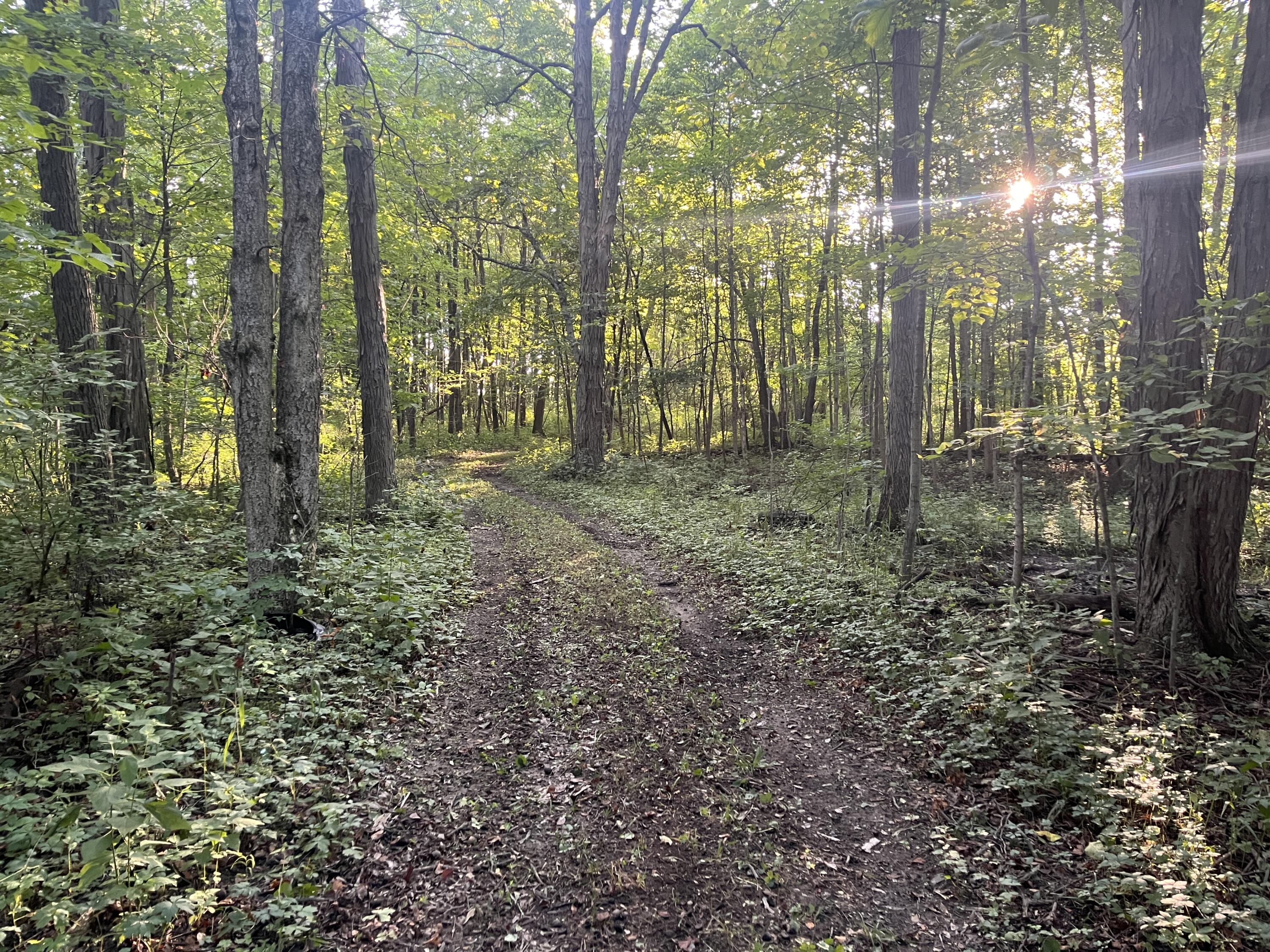 6575 Township Road 137, Rushsylvania, Ohio 43347